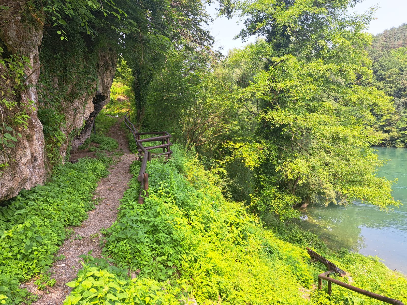 Neverovatna zelena oaza koja čuva tajne starih meštana / foto: RINA
