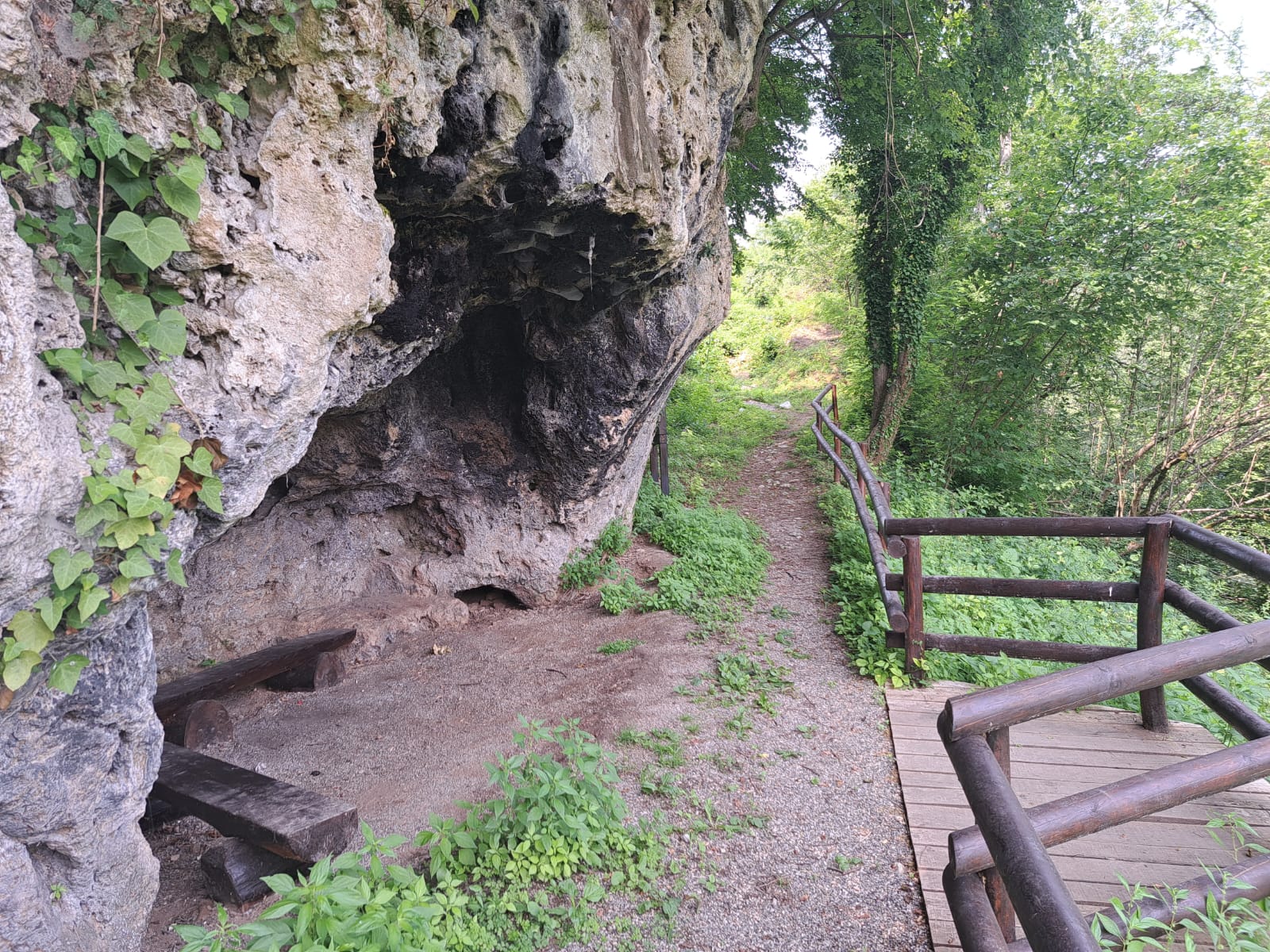 Neverovatna zelena oaza koja čuva tajne starih meštana / foto: RINA