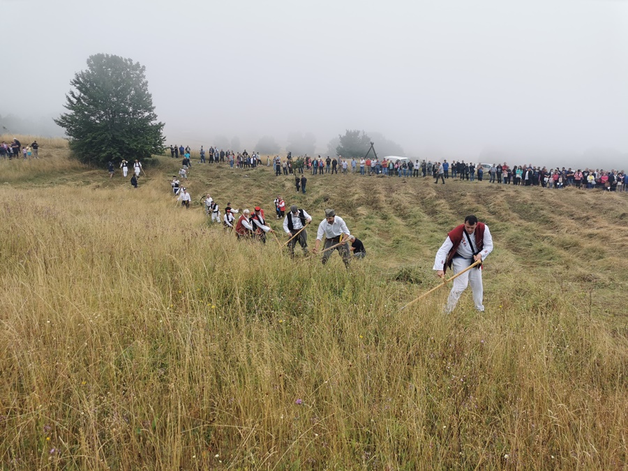 Bira se najbrži, najjači ali i onaj koji ima najlepši stas: Počinje srpski kosački Vimbldon, livade na planini Rajac spremne za sređivanje (FOTO)
