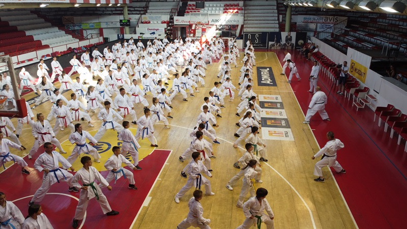 Praznik borilačkih veština u Čačku: Na karate kamp stiglo 300 mališana spremnih da savladaju tehnike ovog plemenitog sporta (FOTO)