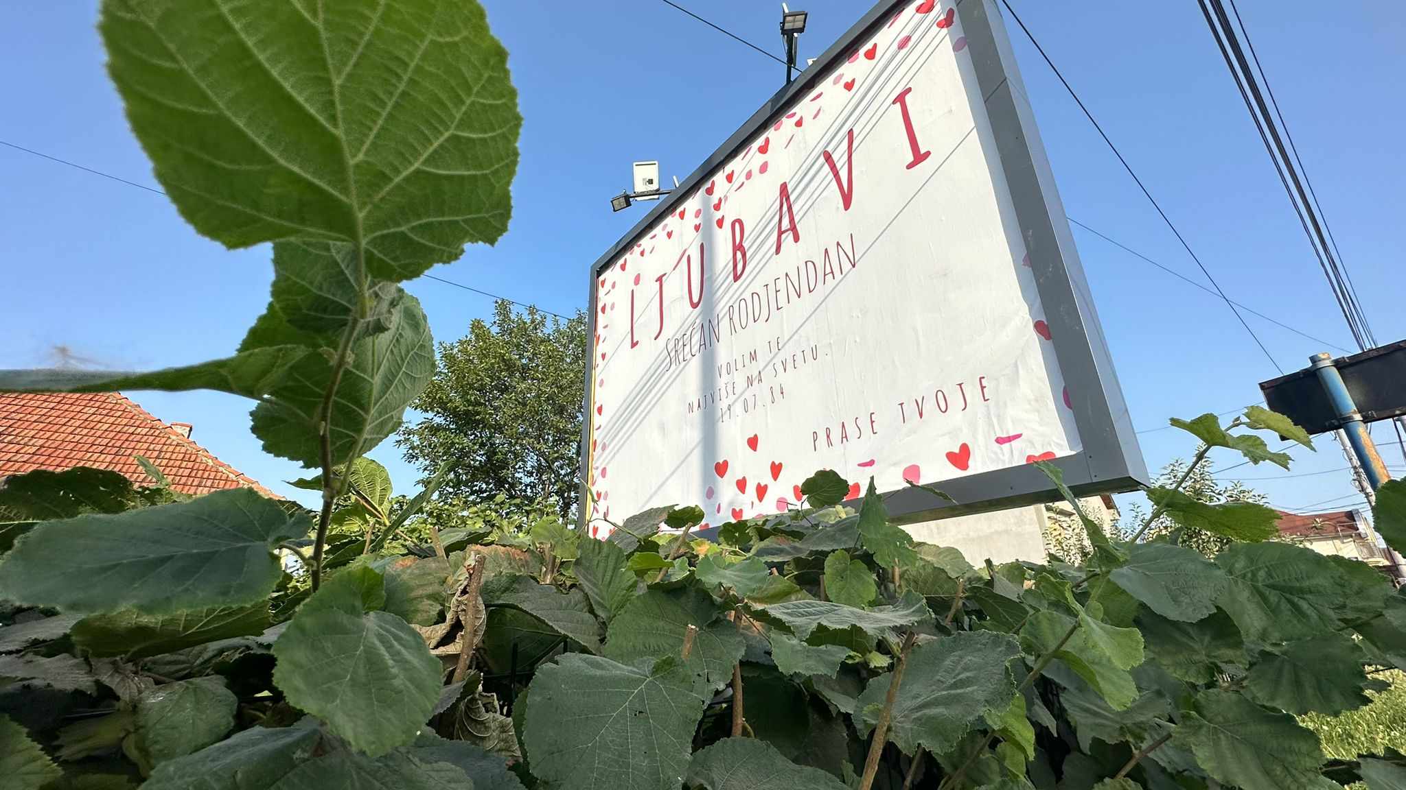 Nesvakidašnji bilbord pojavio se u gradu na Moravi / foto: RINA