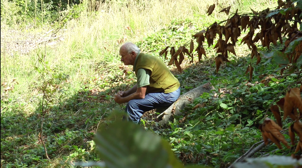Tri puta se prekrstimo, pomolimo Bogu i onda krenemo: Rad u šumi teži je od rada u rudniku, hrabrim drvosečama život često visi o koncu, a svaki dinar krvavo se zarađuje (FOTO)