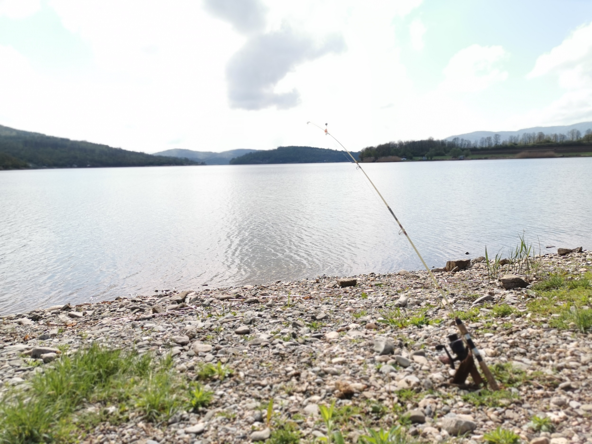 Zaboravite paprene cene, ovde pun pasnion košta 4.000 dinara a osećaj je isti kao da ste na moru: Gružansko jezero u srcu Šumadije postaje sve popularnija turistička destinacija u Srbiji (FOTO)