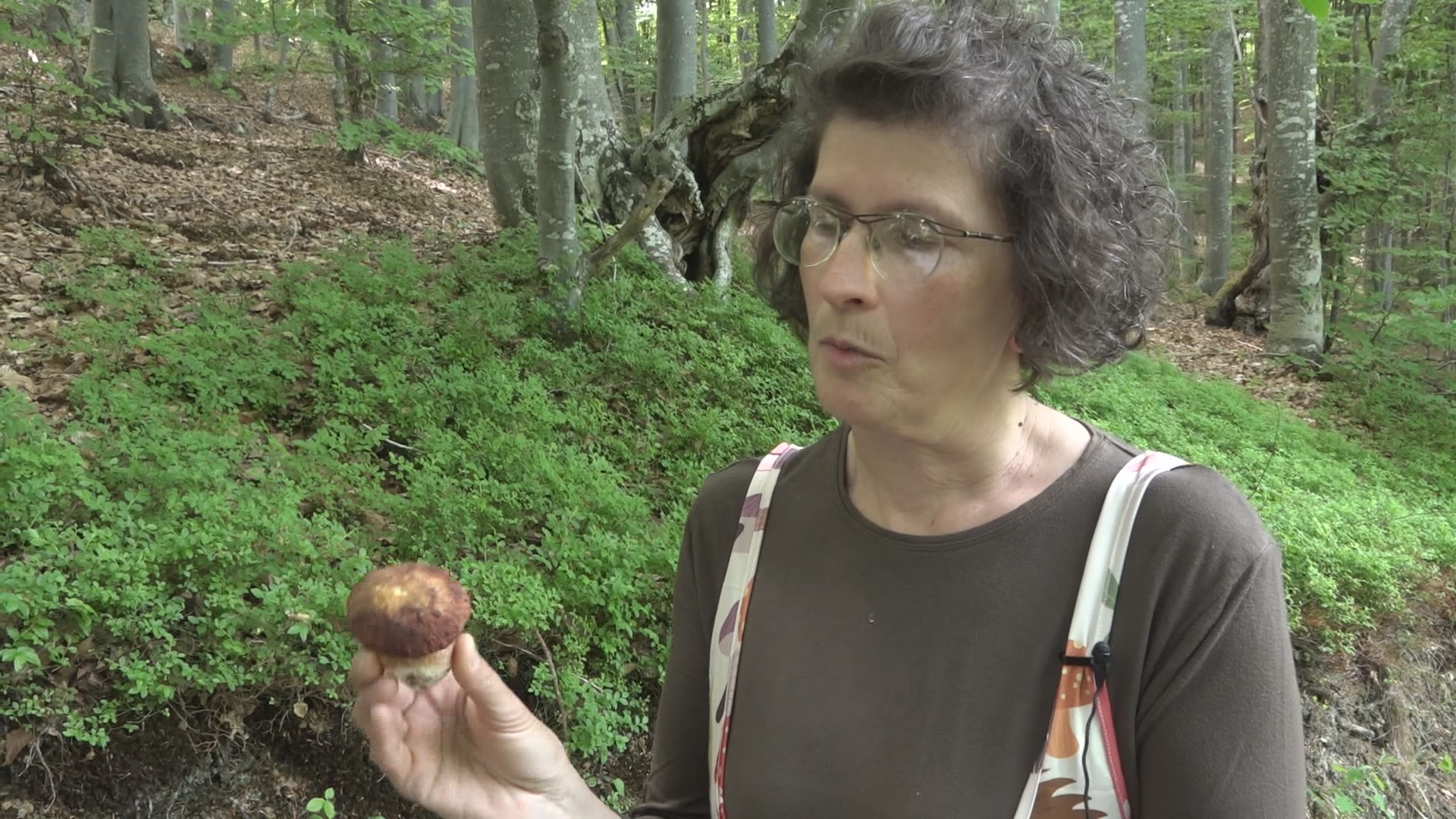 Napustila novinarstvo i iz centra Užica se preselila na selo: Milka se zbog svoje odluke nikad nije pokajala, proučava mistični svet gljiva i sprema đakonije od šumskog pileta (FOTO)