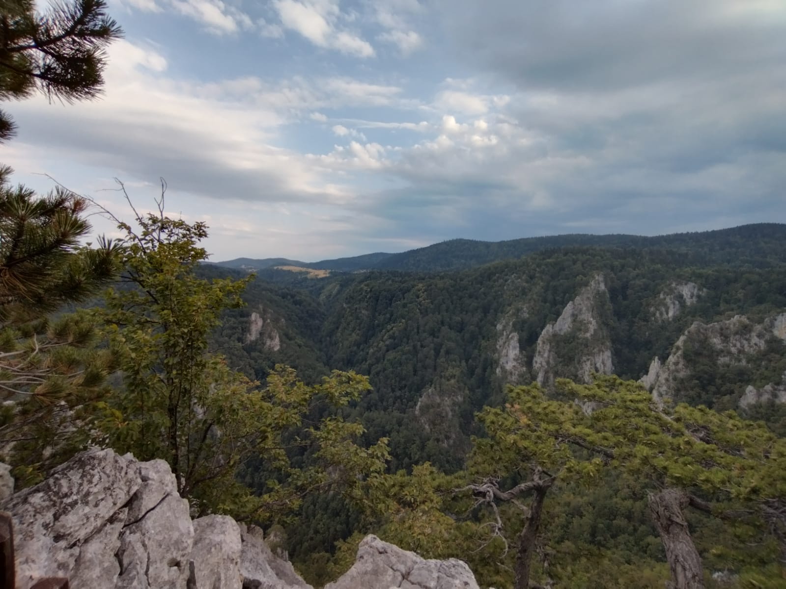 Trojica majstora nastradala dok su gradili Jerinin grad na obroncima Tare: Solotuša je danas poznato arheološko nalazište sa kog pogled puca na pola Bosne 