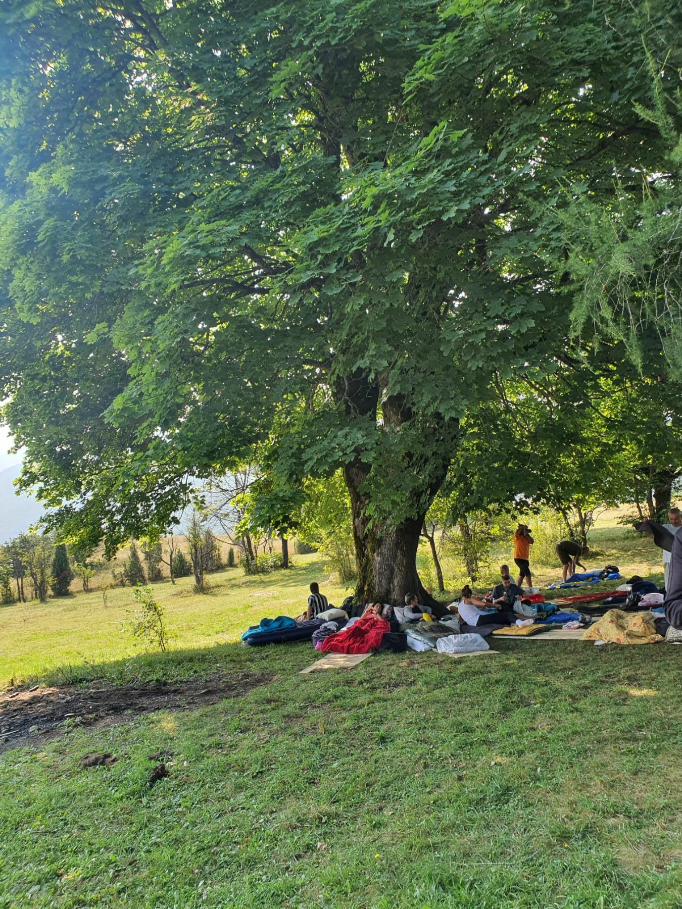 Ljuta borba u ležanju i dalje traje, 1.000 evra čeka pobednika: Ostalo još osam takmičara - na dušecima pet dama i tri muškarca (FOTO)(VIDEO)