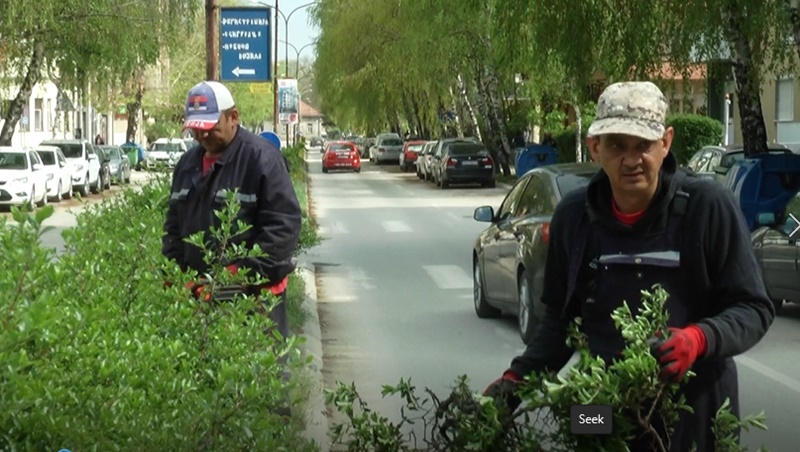 Štapom dugim dva metra me udario u leđa: Nedopustivo - napadnut radnik "Gradskog zelenila" u Čačku, vlasnik parcele nije im dozvoljavao da obavljaju svoj posao