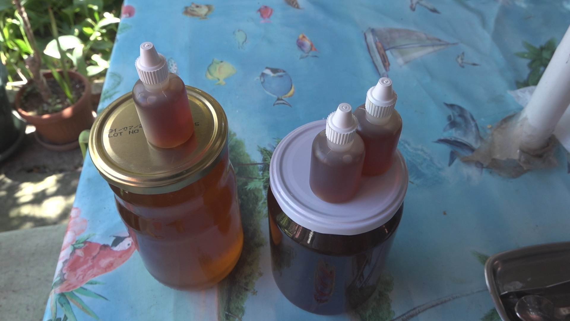 Med i propolis koriste se i kao hrana i kao lek/ Foto: RINA