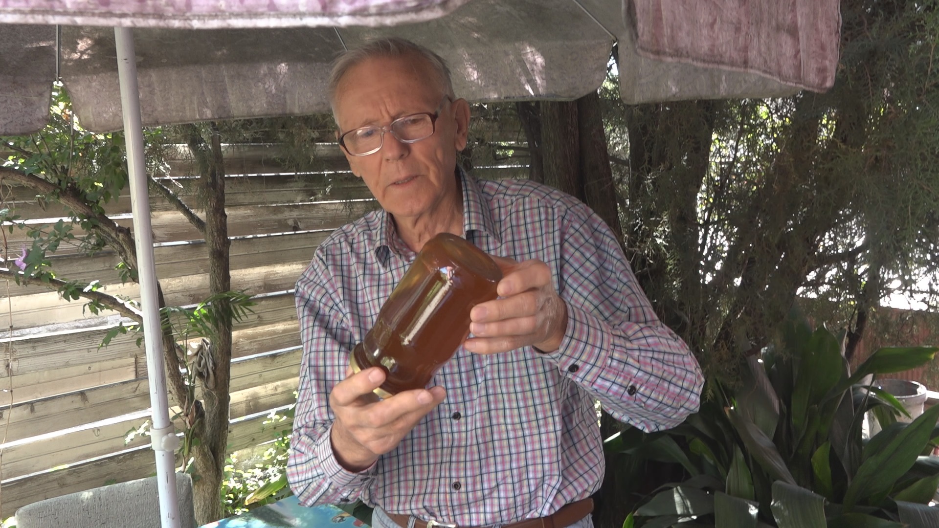 Ovo je najlekovitija namirnica na svetu koju možemo dobiti samo od prirode: Med i propolis koriste se i kao hrana i kao lek (FOTO)