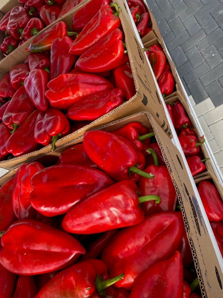 Poklanjaju papriku koju ne mogu da prodaju, veliko bravo za vredne povrtare iz sela Mršinci / foto: Privatna arhiva