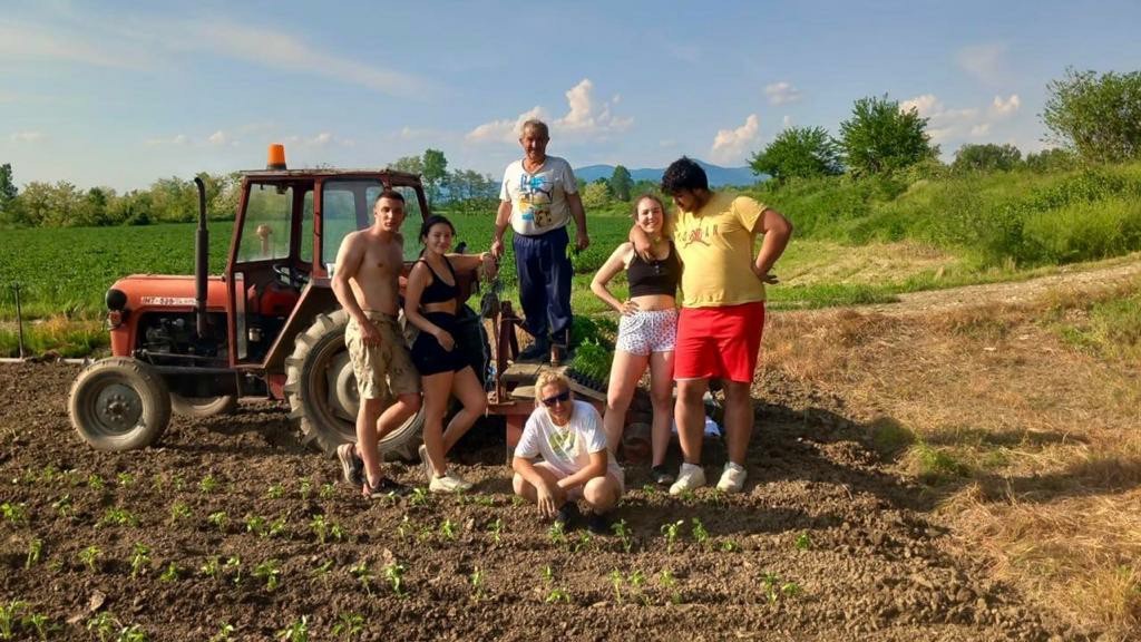 Poklanjaju papriku koju ne mogu da prodaju, veliko bravo za vredne povrtare iz sela Mršinci: Do sada besplatno dali skoro 500 kilograma - ajvar za te ljude i neće biti tako skup (FOTO)