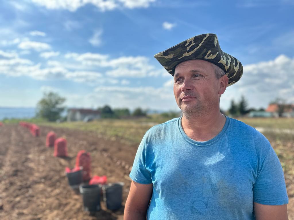 Brkovići iz sela Teočin ne odustaju od proizvodnje krompira, nijedan nije kao domaći srpski / foto: RINA