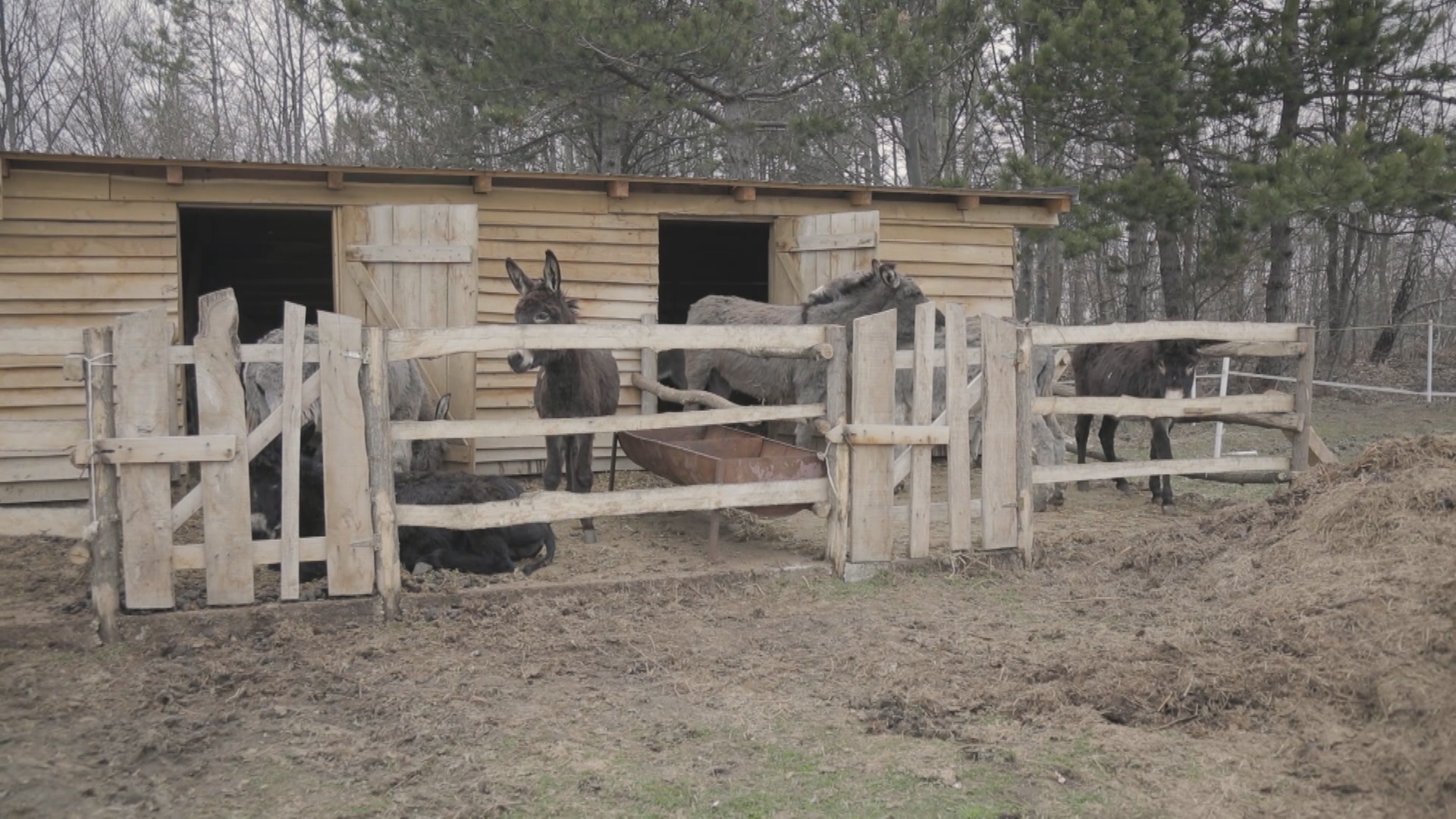 Igor je veterinar i svoje parče raja napravio je na Sokolskim planinama / foto: RINA, Mile Stančić