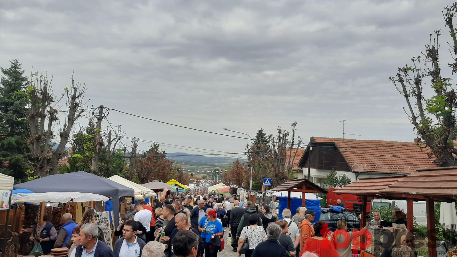 Ovako se slave grožđe i vino, srpska Toskana opravdala sva očekivanja: Tokom tri dana trajanja Oplenačke berbe kroz Topolu prošlo oko 200.000 ljudi (FOTO)