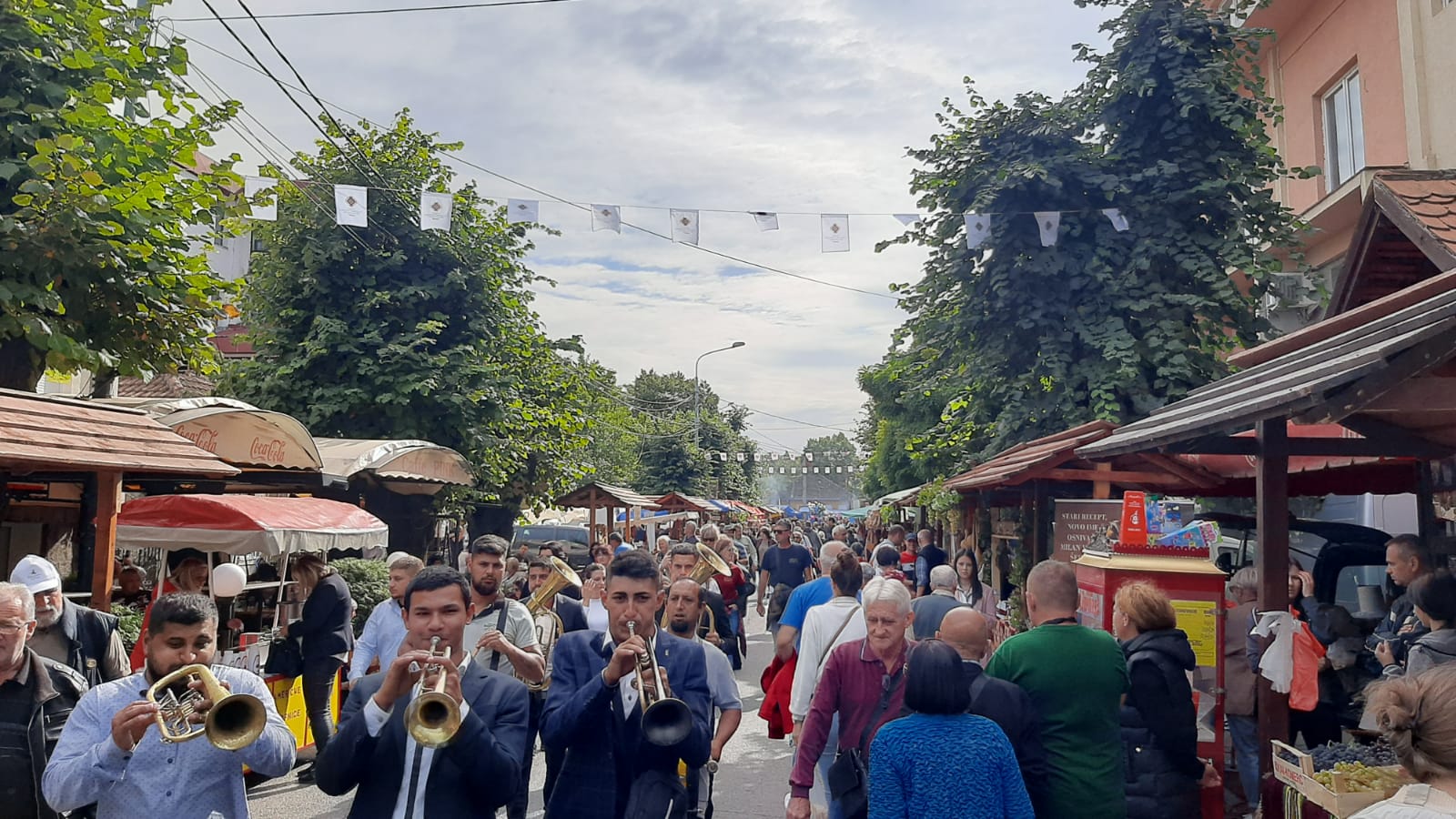 Tokom tri dana trajanja Oplenačke berbe kroz Topolu prošlo oko 200.000 ljudi / foto: RINA