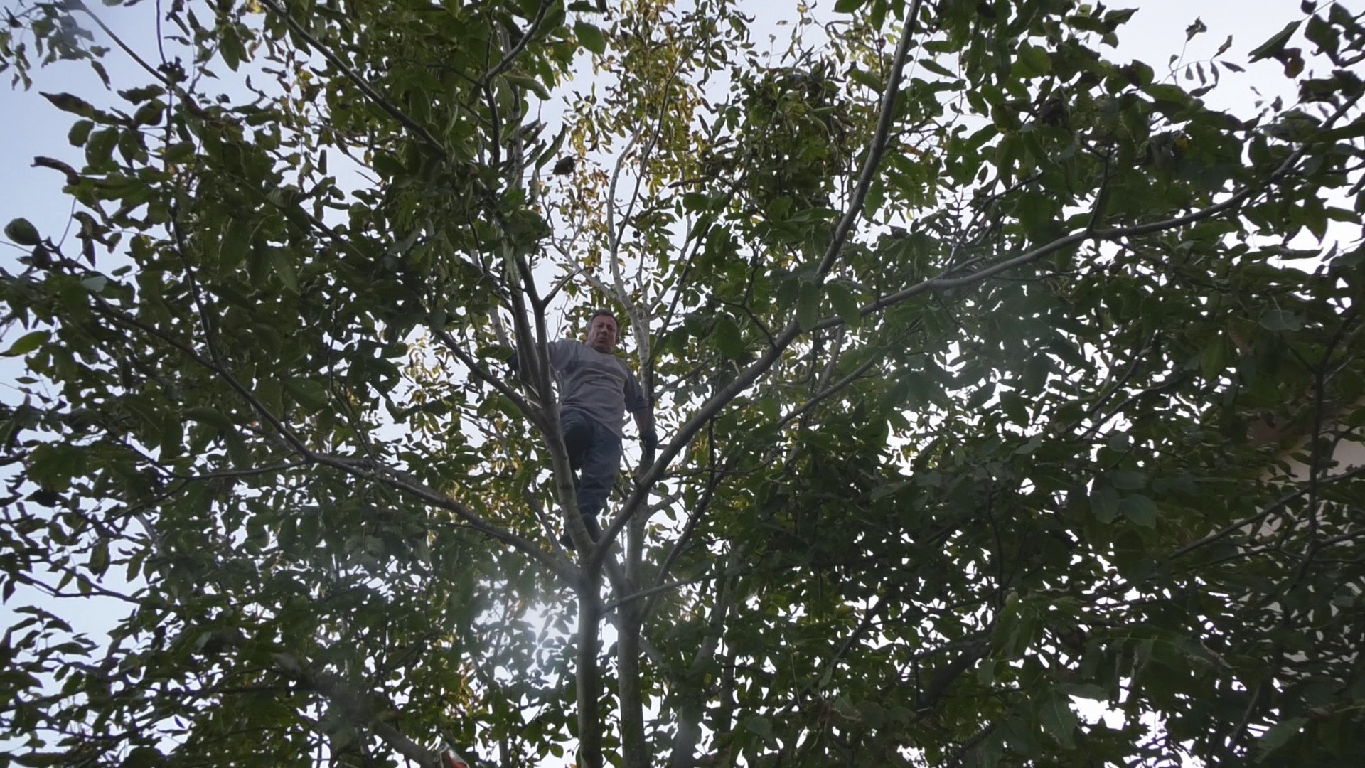 Mića Akrobata iz sela Sikirica kod Paraćina je živa legenda svog kraja / foto: RINA