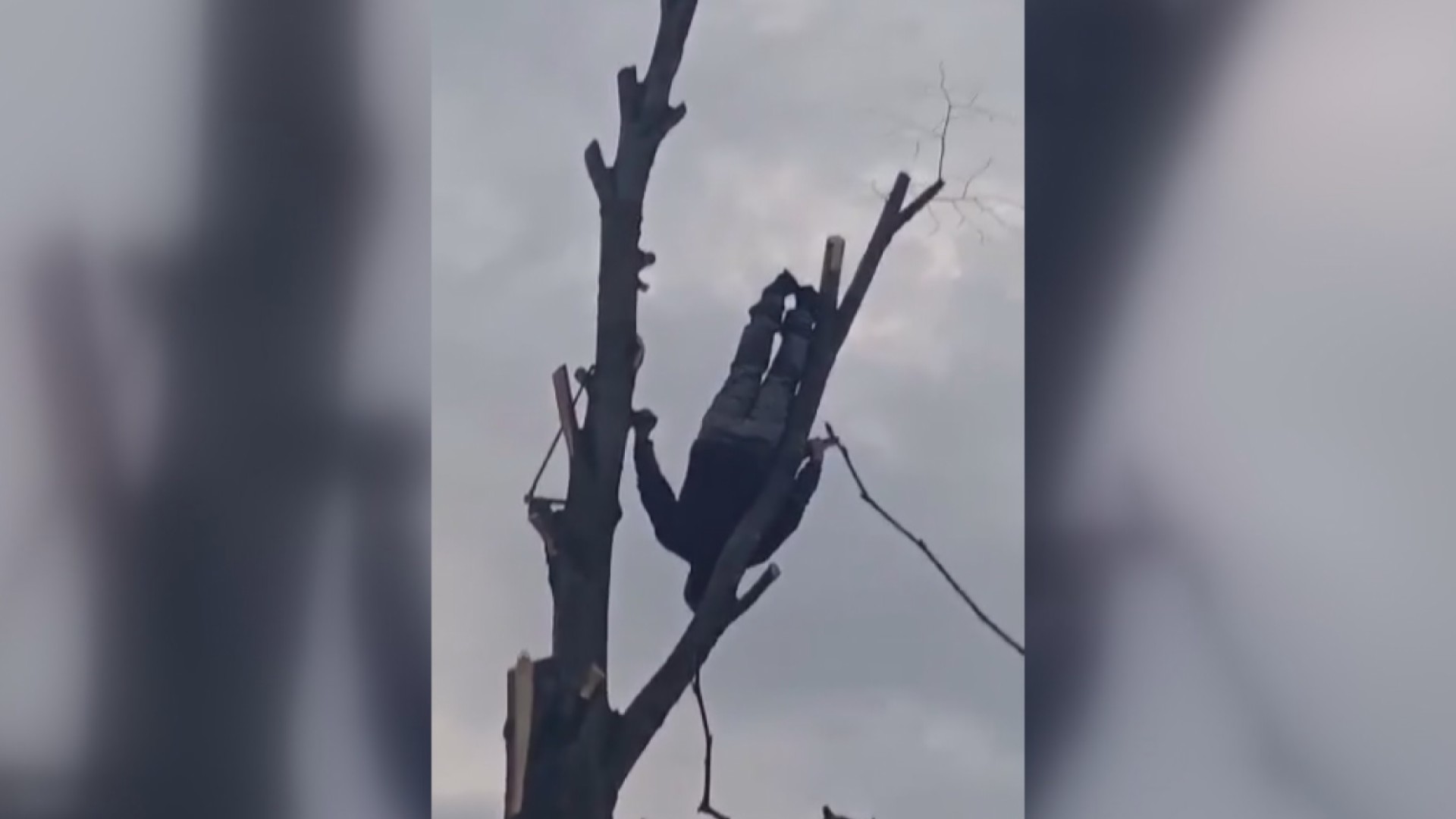 Mića Akrobata iz sela Sikirica kod Paraćina je živa legenda svog kraja / foto: RINA