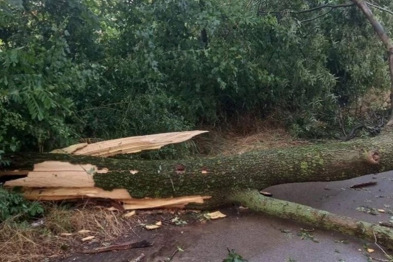 Vetar čupao drveće iz korena i nosio pune kontejnere: Nezapamčćeno nevreme na području Bajine Bašte