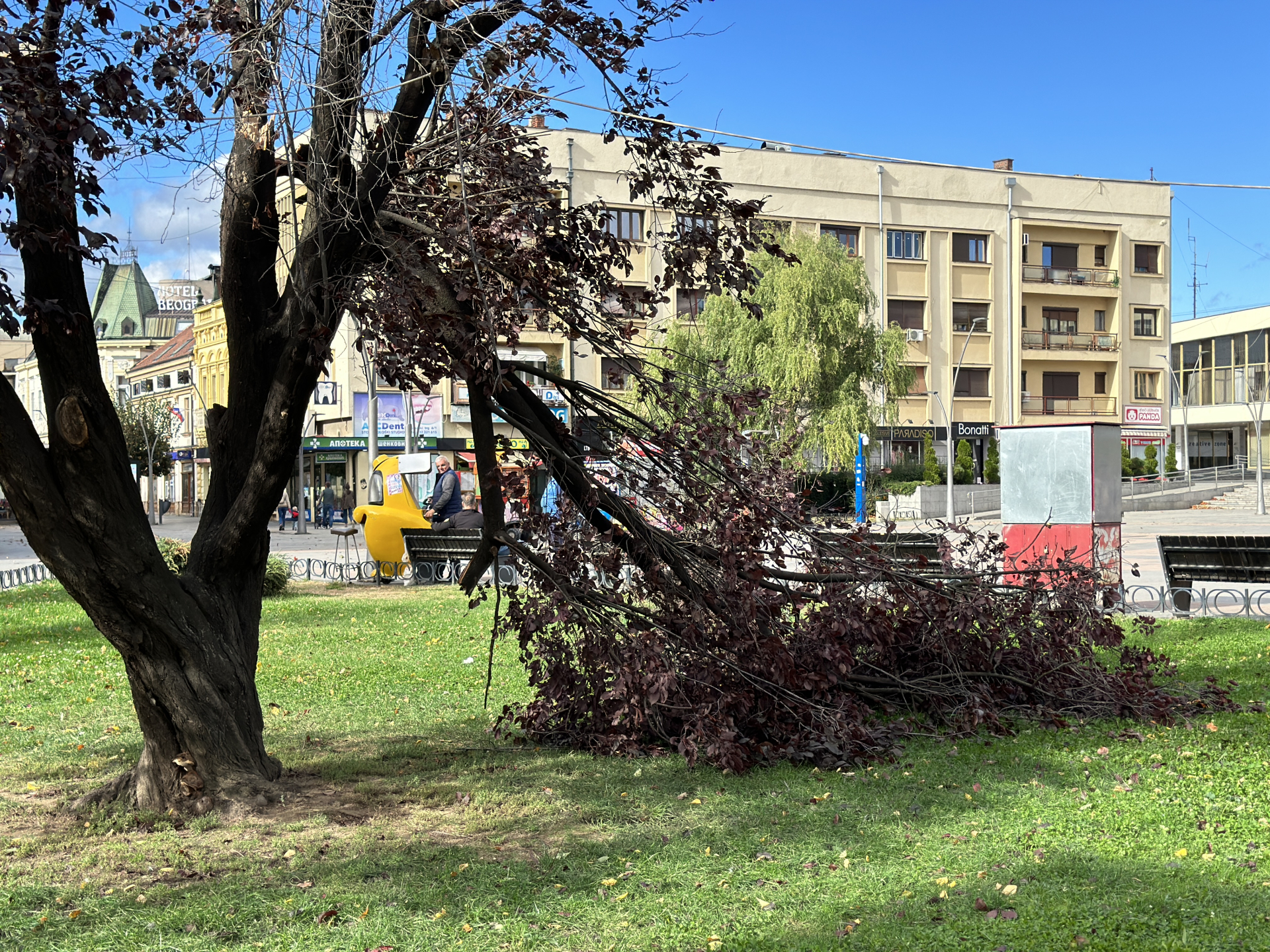 Foto 5