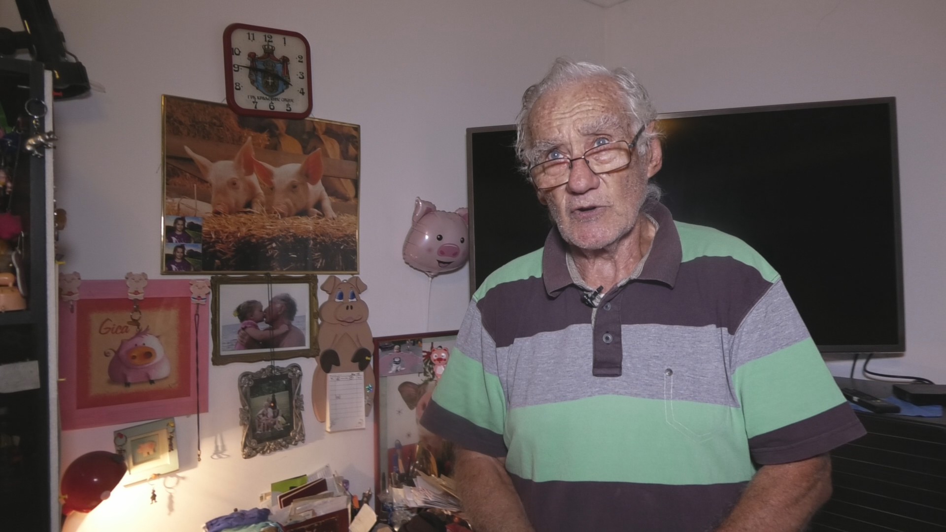 Neverovatno - najveći svinjac u Srbiji nalazi se u srcu Beograda: Ivan ima preko 1.000 prasića koji su u srpsku prestionicu stigli iz čitavog sveta, pravi biseri smešteni su njegovim policama (FOTO)