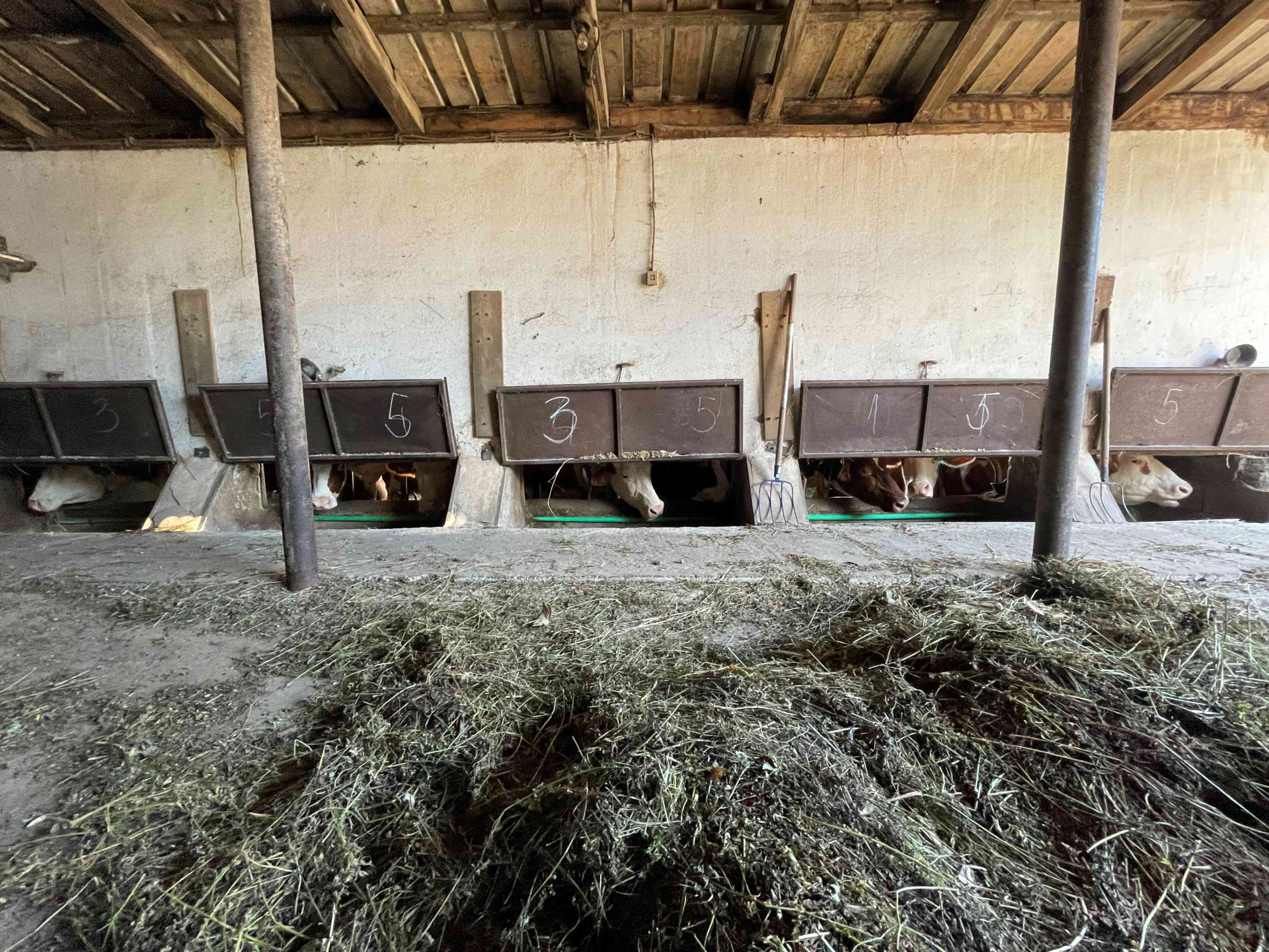 Marinkovići iz Donje Vrbave su domaćini za primer/ Foto: Kabinet predsednik opštine