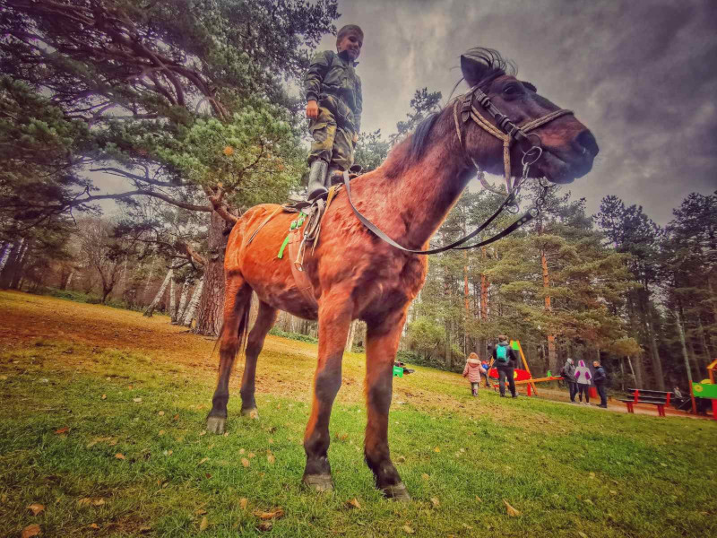 Šestogodišnjem Milošu iz sela kod Arilja najbolji prijatelj je konj Čarli / foto: RINA