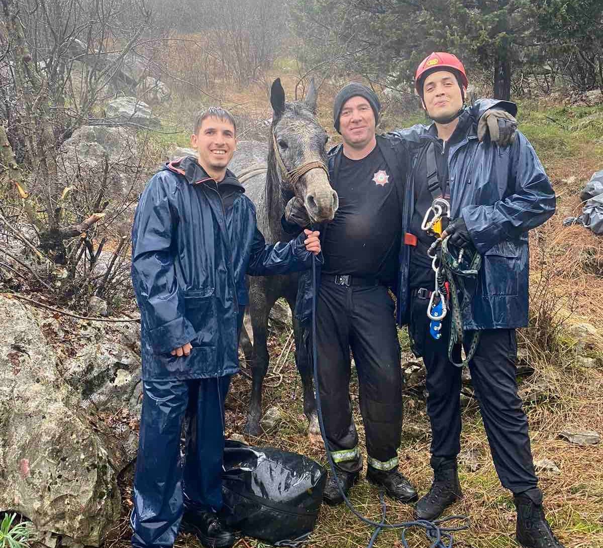 Upao u provaliju duboku šest metara, smrti gledao u oči: Hrabri vatrogasci spasili konja iz jame u selu kod Cetinja, vodili računa da životinju ne povrede (FOTO)