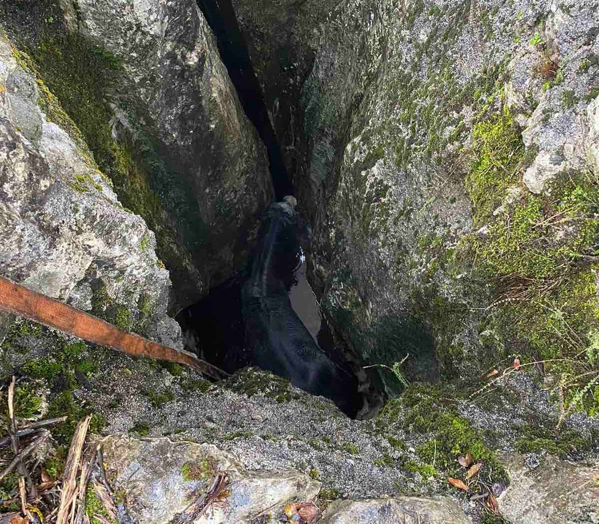 Hrabri vatrogasci spasioci spasili konja kod Cetinja / foto: Služba zaštite i spašavanja Podgorica
