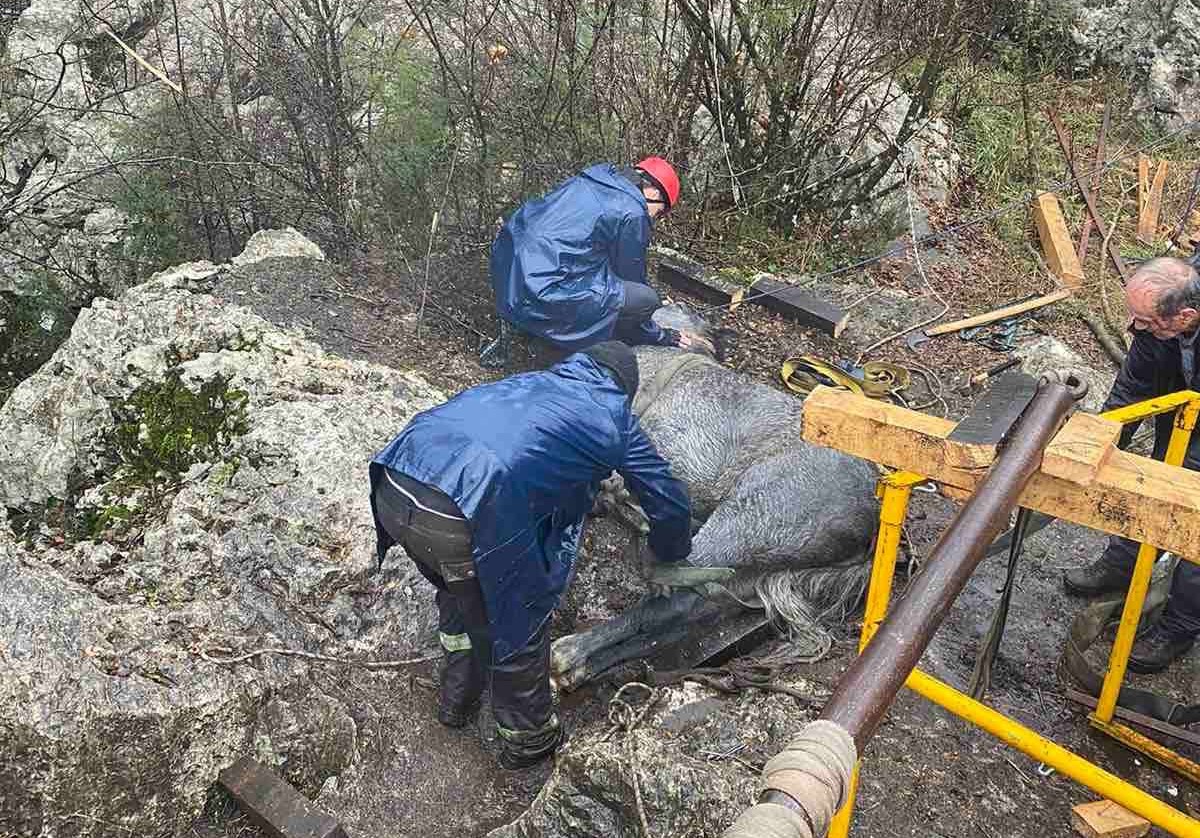 Hrabri vatrogasci spasioci spasili konja kod Cetinja / foto: Služba zaštite i spašavanja Podgorica