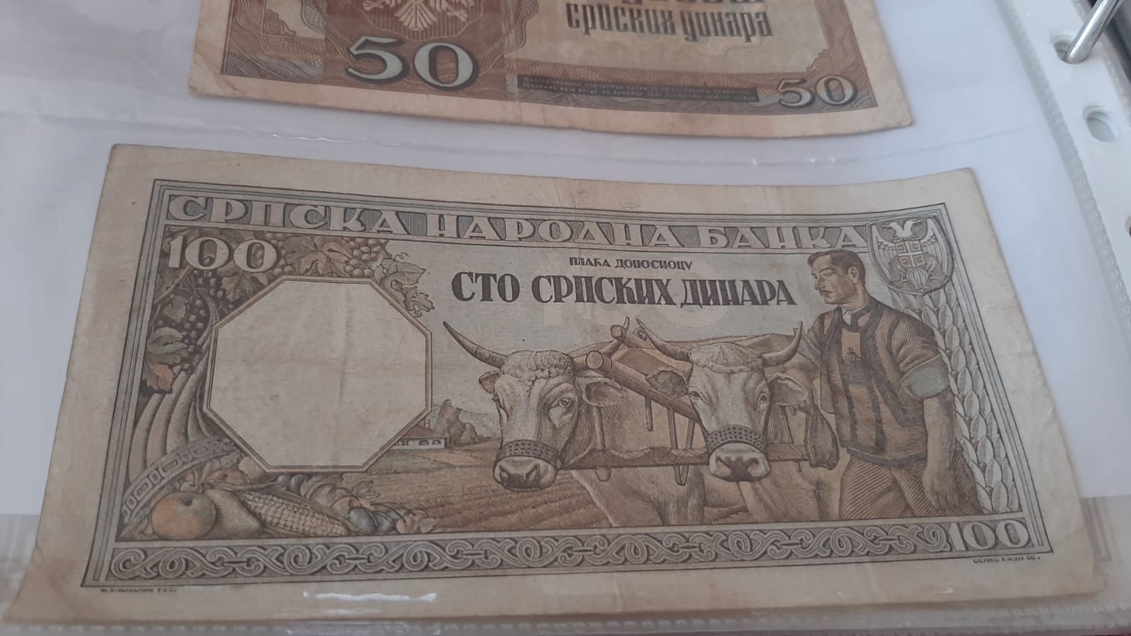 Batiša iz Topole godinama skuplja stari novac/ Foto: RINA