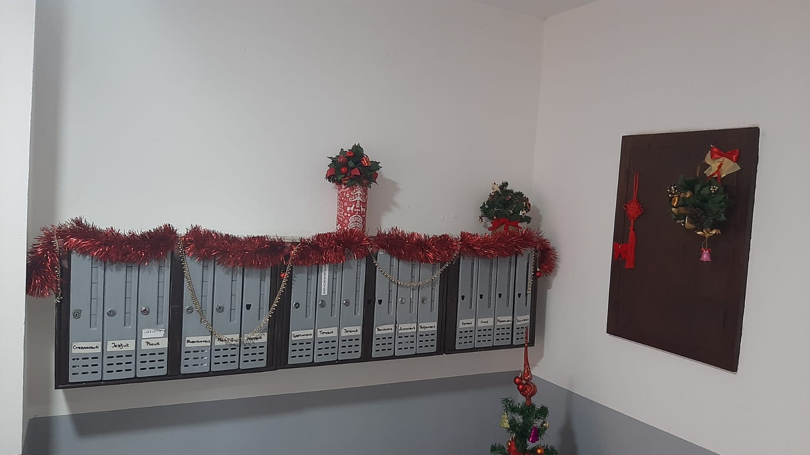 Svetlana postala upravnca svoje zgrade i udahnula joj novi život / foto: RINA