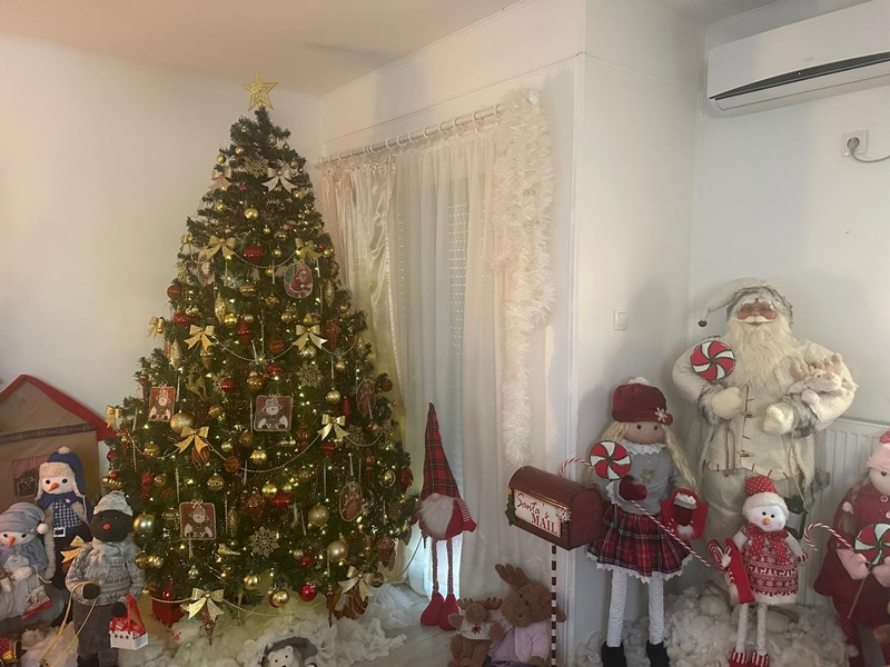Praznična bajka u domu Nidžovića iz Čačka / foto: RINA