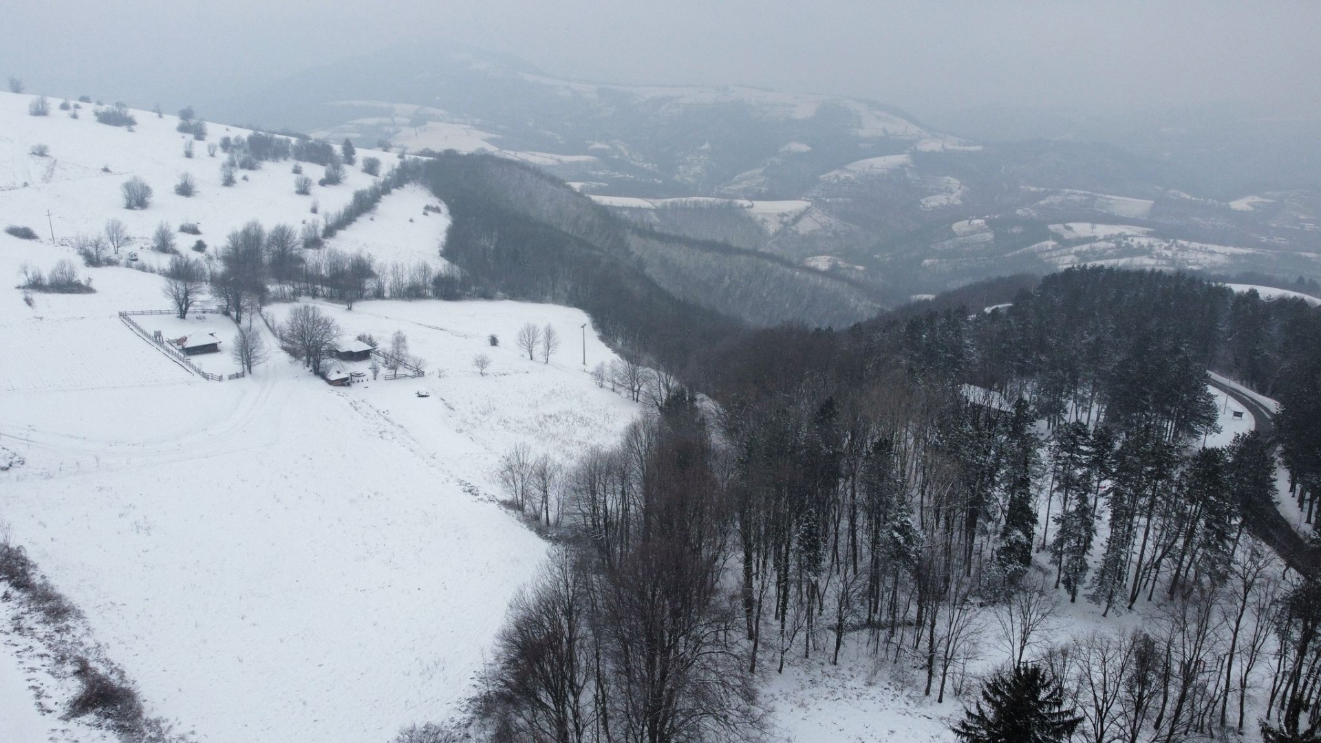 Bračni par se sa vrelog kontinenta doselio u srce Srbije/ Foto: RINA