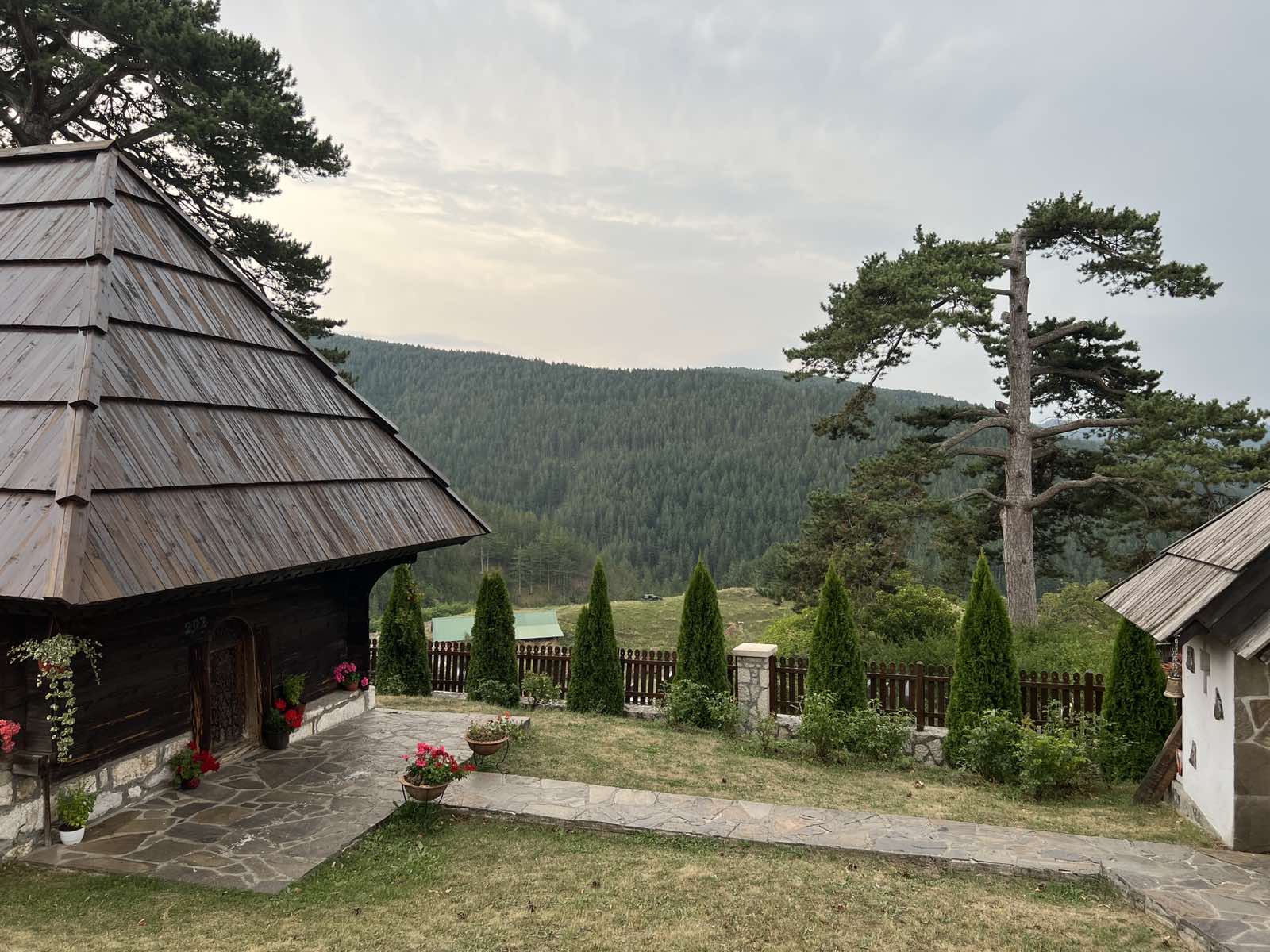 Car Dušan promenio je ime ovom selu jer su ga ljudi lepo dočekali: Nestvarne lepote zlatiborske Dobroselice i stoletni crni borovi koji vekovima stoje kao pravi gorostasi (FOTO)