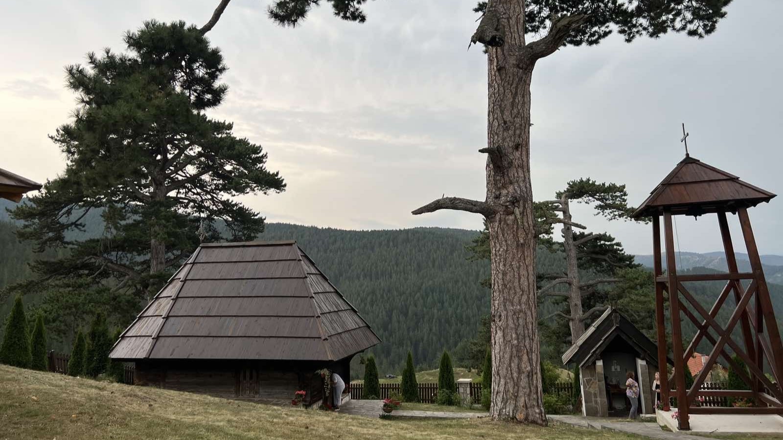 Nestvarne lepote zlatiborske Dobroselice i stoletni crni borovi / foto: RINA