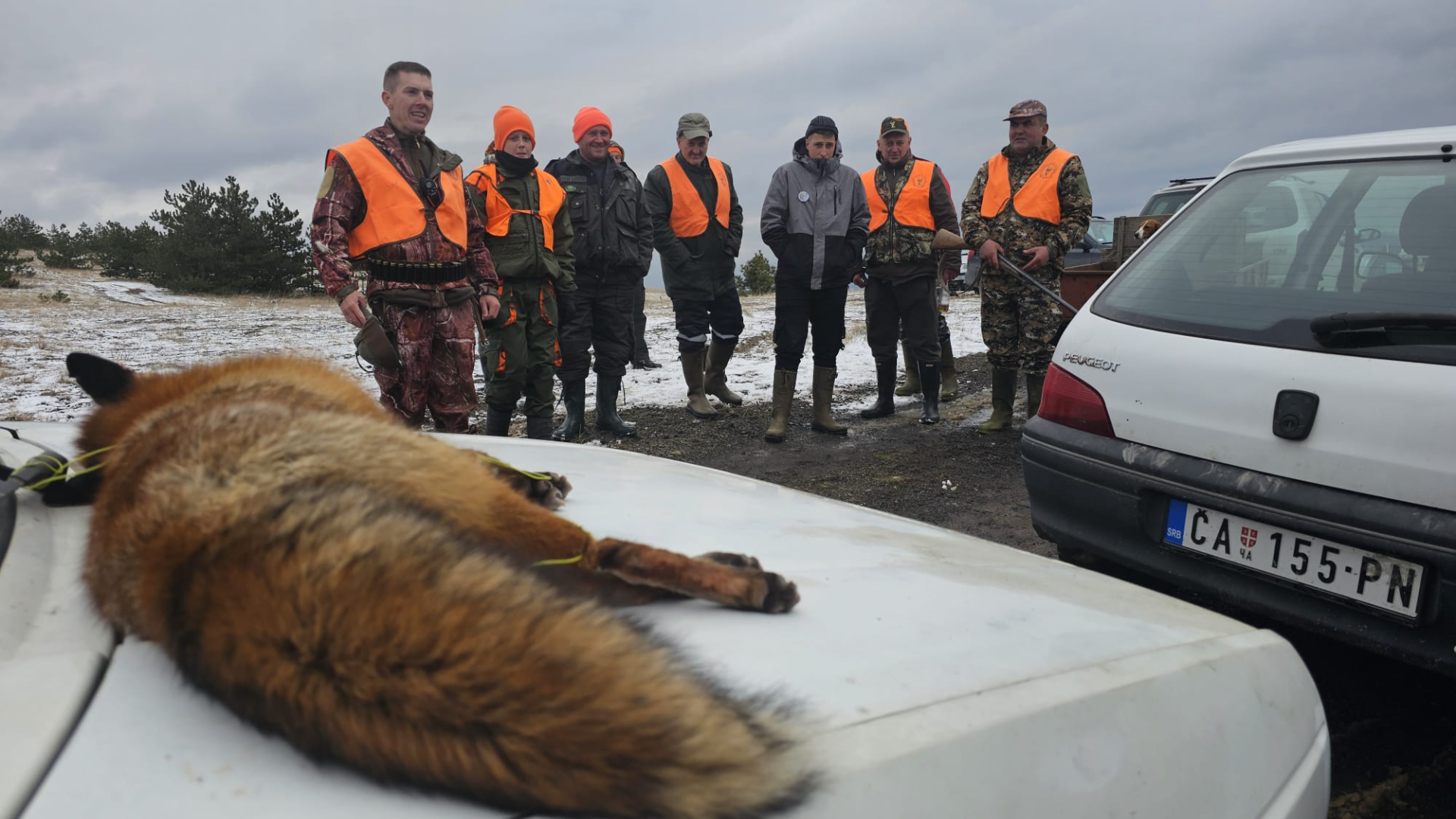 Preko 200 lovaca okupilo se na padinama Maljena - organizovana hajka na ravnogorsku lisicu / foto: RINA
