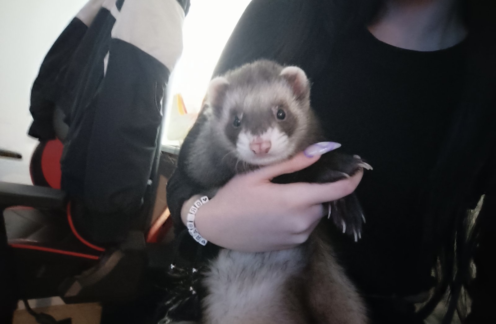 Foto 4