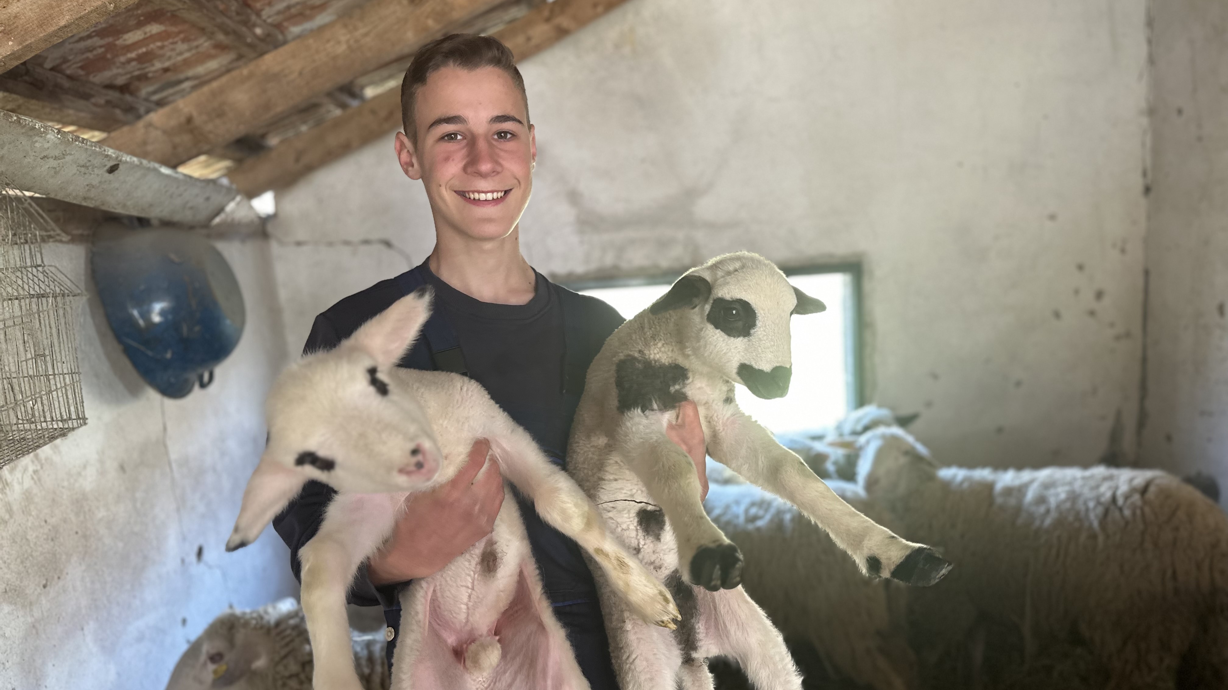 Zoran iz Ježevice ima samo 16 godina ali je dečak za primer/ Foto: RINA