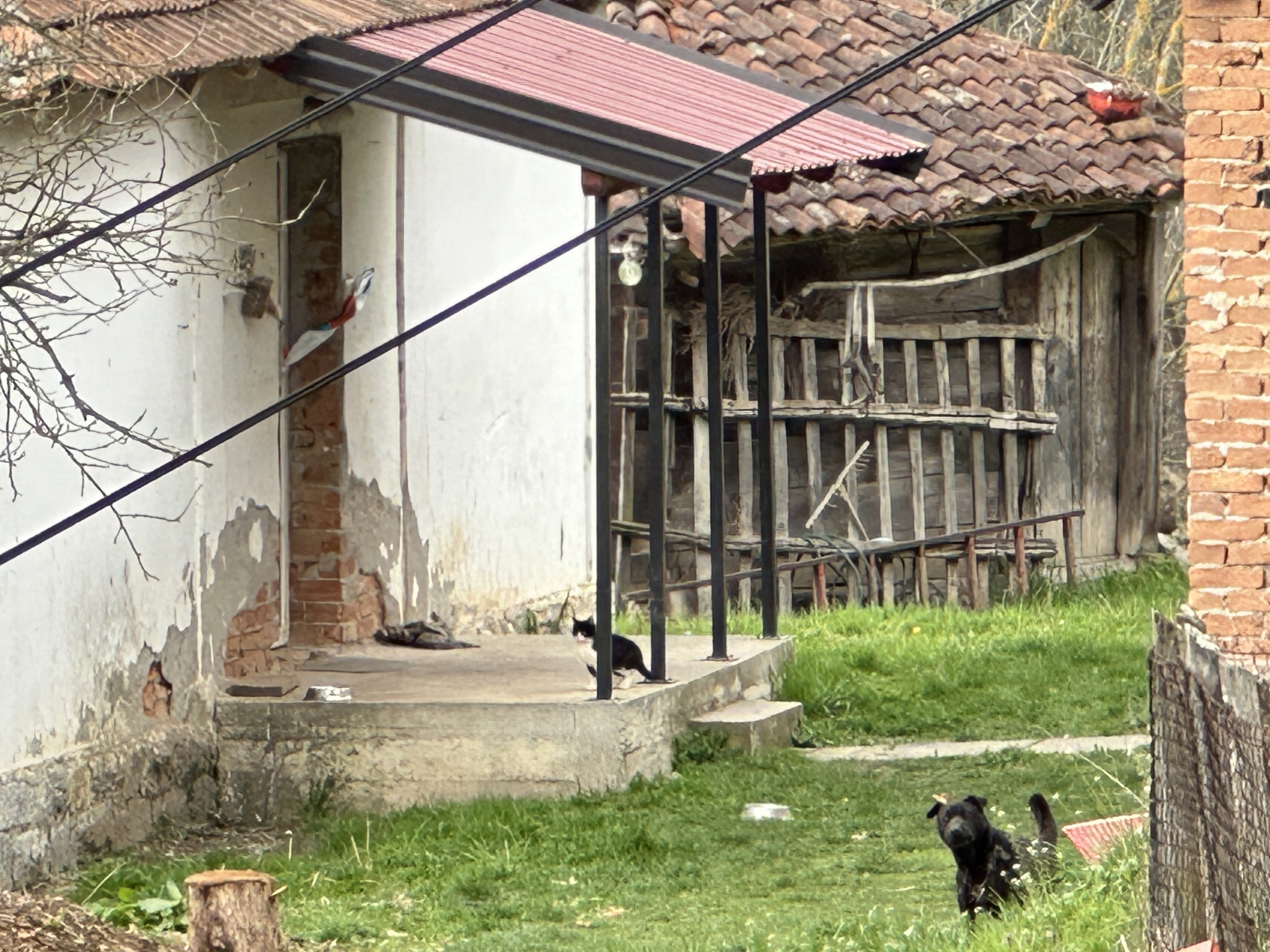 Bio je siroče ali pošten i vredan: Meštani Prijanovića otkrivaju detalje zločina, ovo je kuća u kojoj je Sanela ubila muža (FOTO)