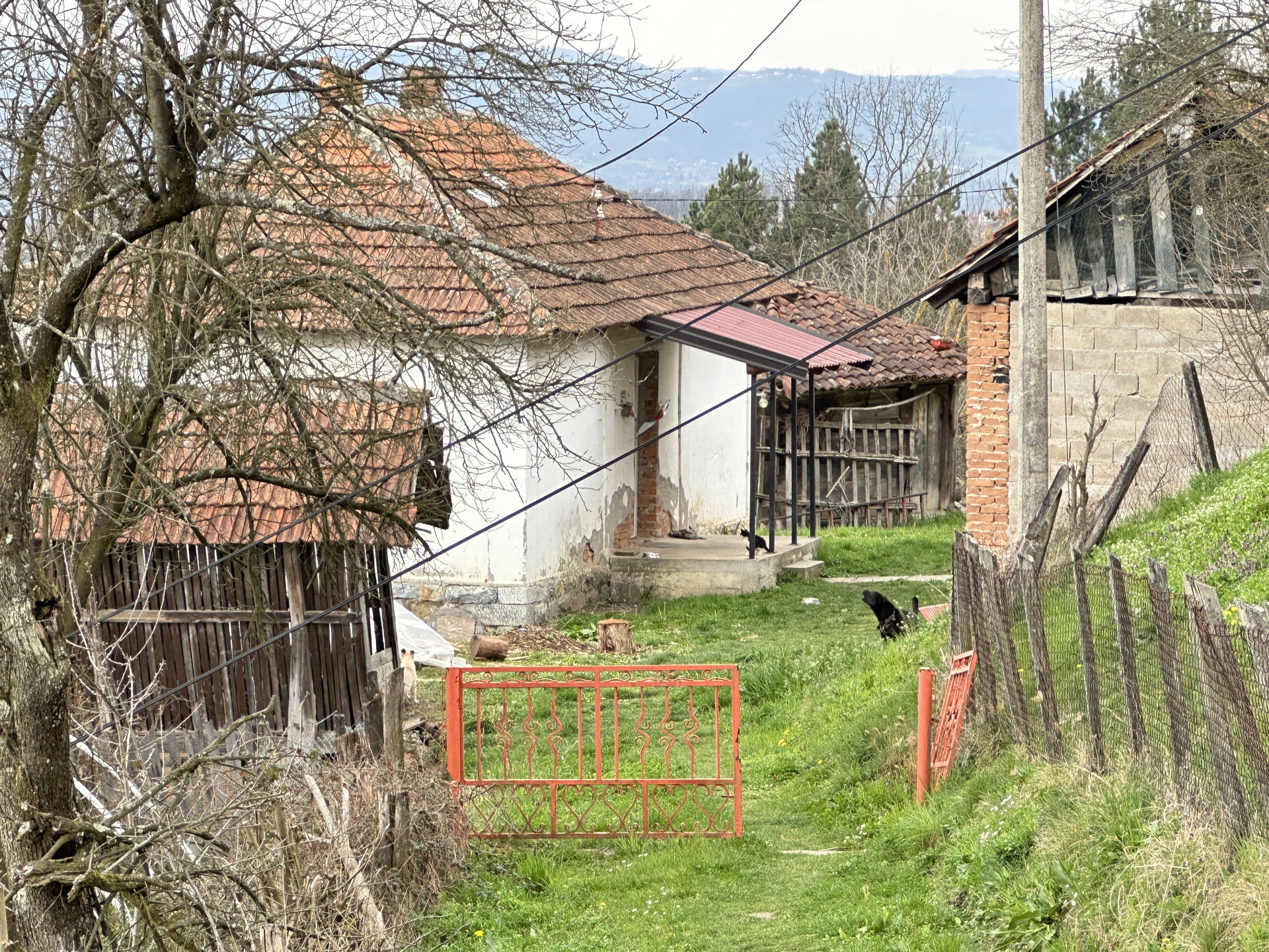 Foto 8
