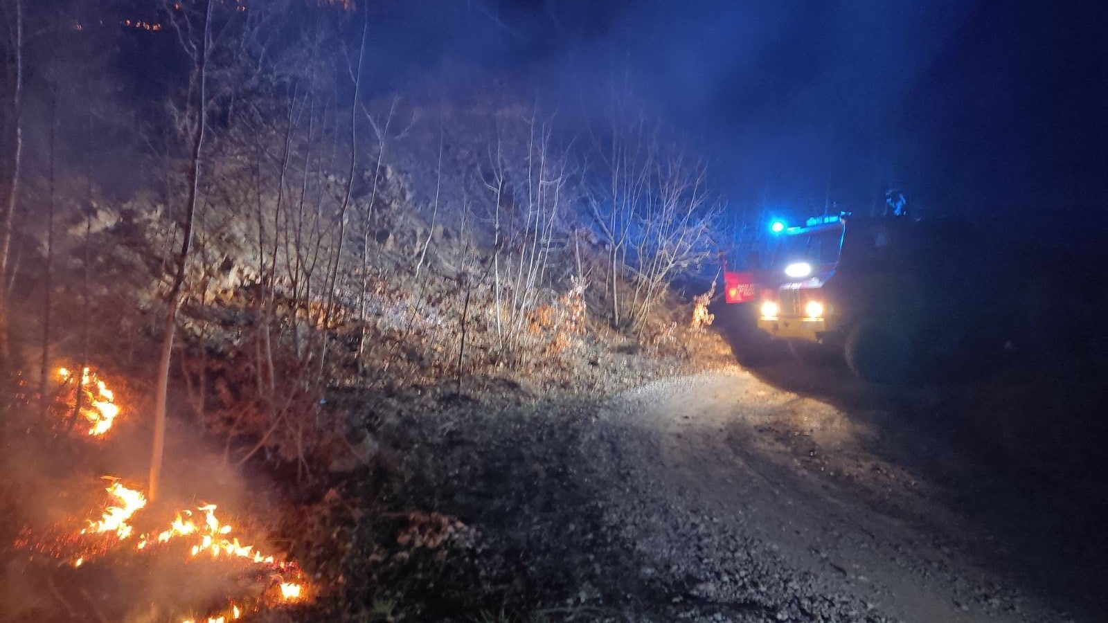Požar u Bijelom Polju/ Foto: Služba zaštite i spasavanja Bijelo Polje