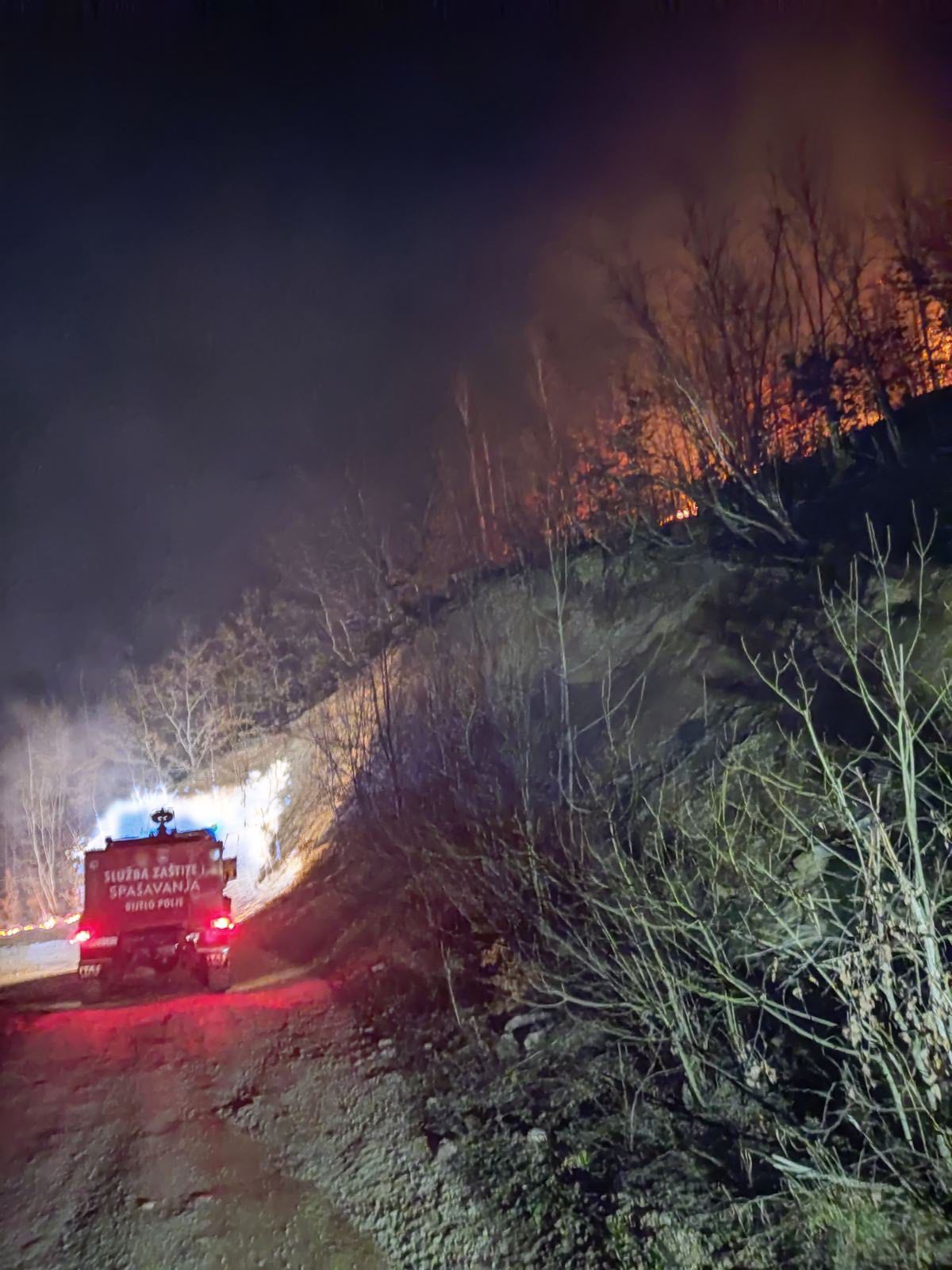 Veliki šumski požar kod Bijelog Polja, borba vatrogasaca trajala satima: Uzrok izbijanja vatrene stihije najverovatnije ljudski faktor (FOTO)