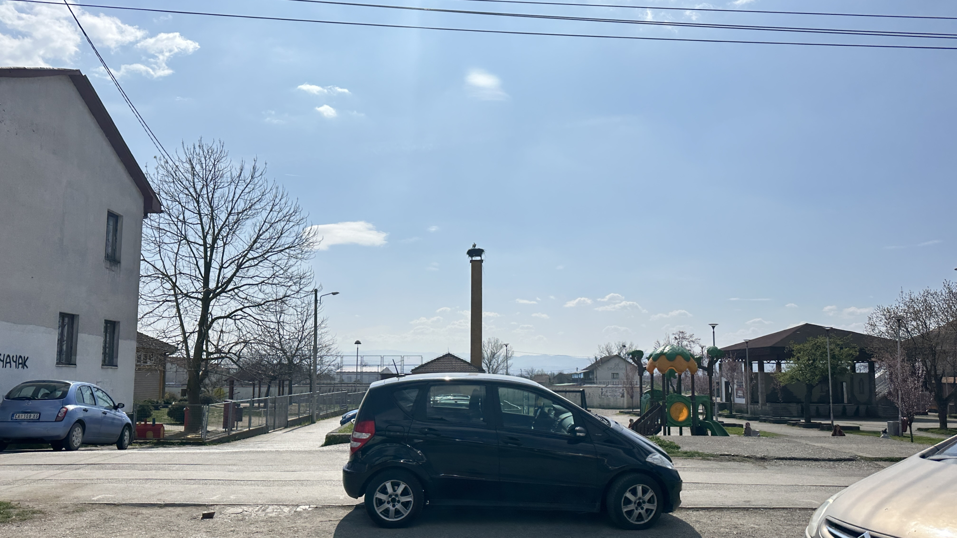 Vratile se rode usred Srbije: Dugonoge ptice opet svile gnezdo pored vrtića u Mrčajevcima, mališani ih obožavaju (FOTO)