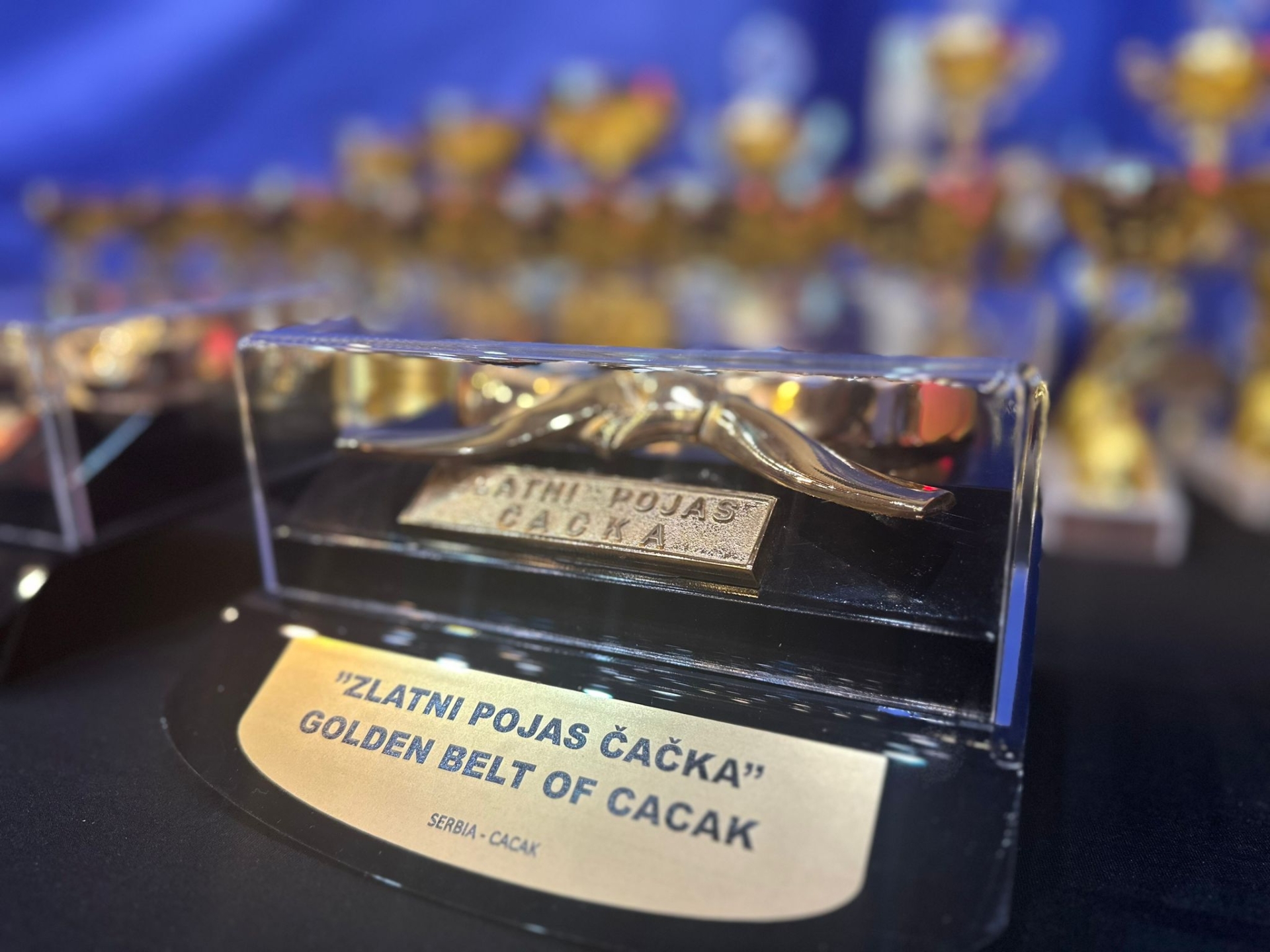 Praznik borilačkog sporta u gradu na Moravi: Počeo najstariji karate turnir u Evropi, Čačak ugostio svetsku elitu