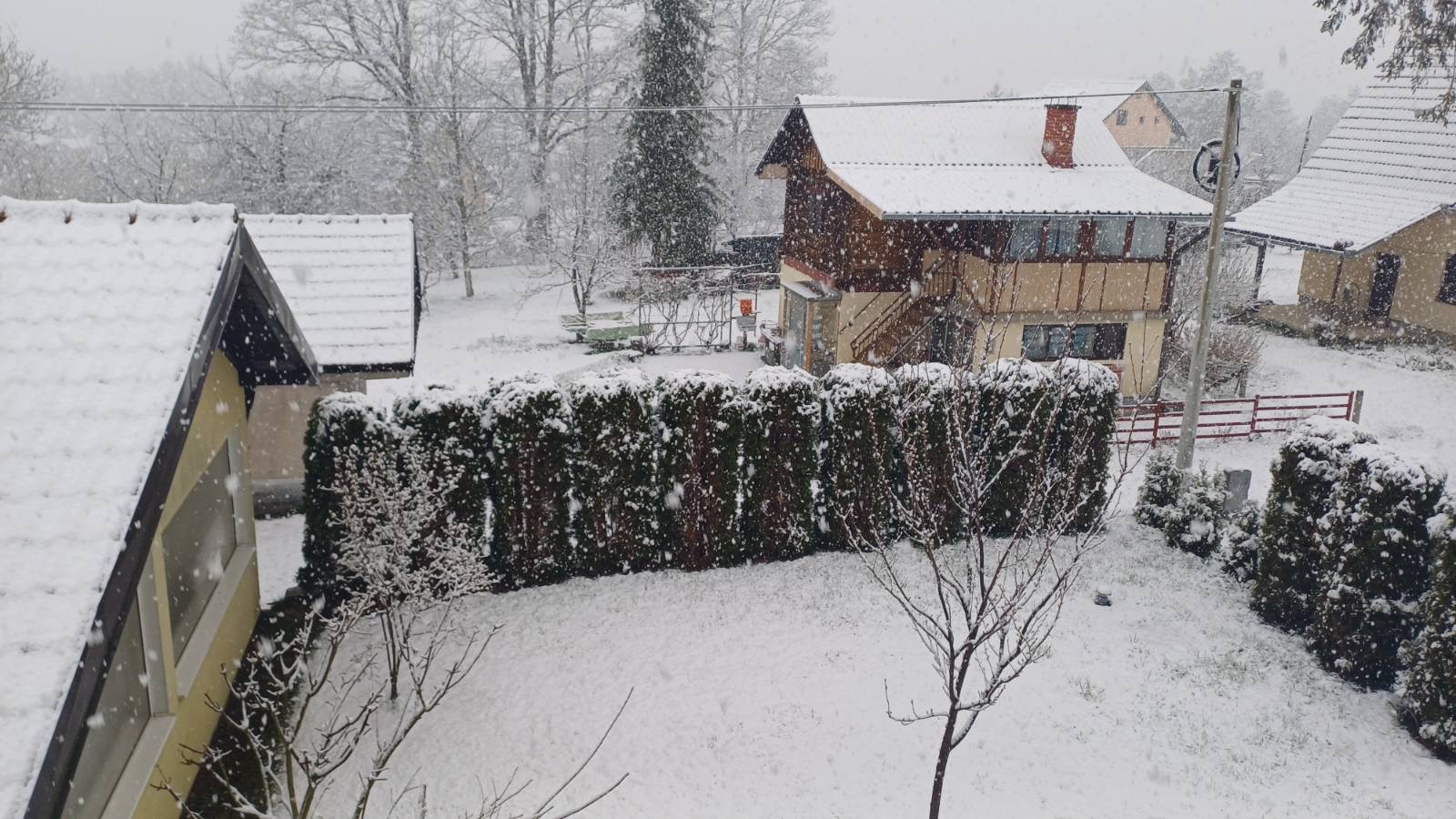 Mećava preko Zlatibora se ne šali, zabrana saobraćaja za šlepere preko Borove Glave: Jak sneg pada satima, formiran pokrivač od 10 centimetara/ Foto: RINA