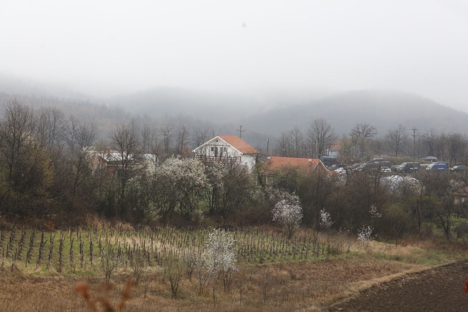 Drugi dan traje potraga za nestalom Dankom iz Bora/ Foto: Zoran Ilić, ustupljena fotografija