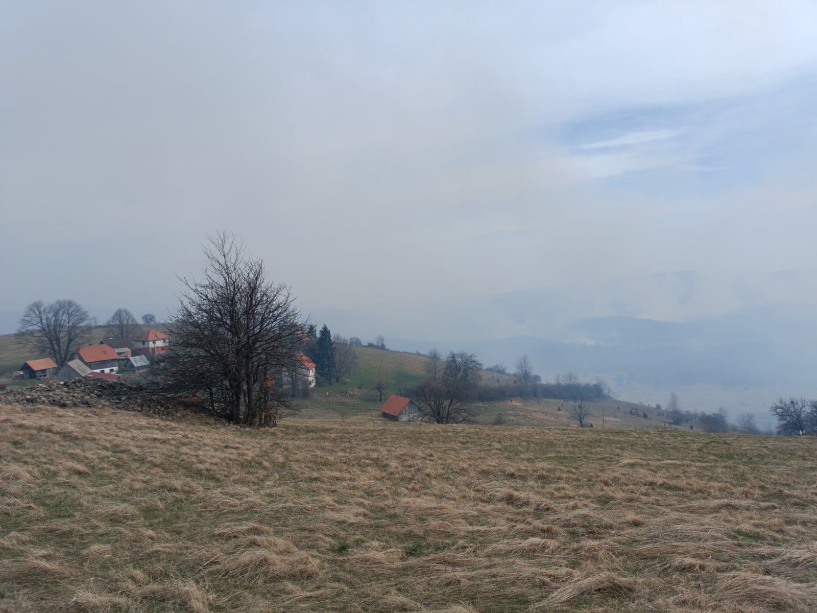Haos kod Prijepolja, ogroman šumski požar guta sve pred sobom: Zahvaćena površina od oko 100 hektara, meštani u velikom strahu (FOTO)(VIDEO)