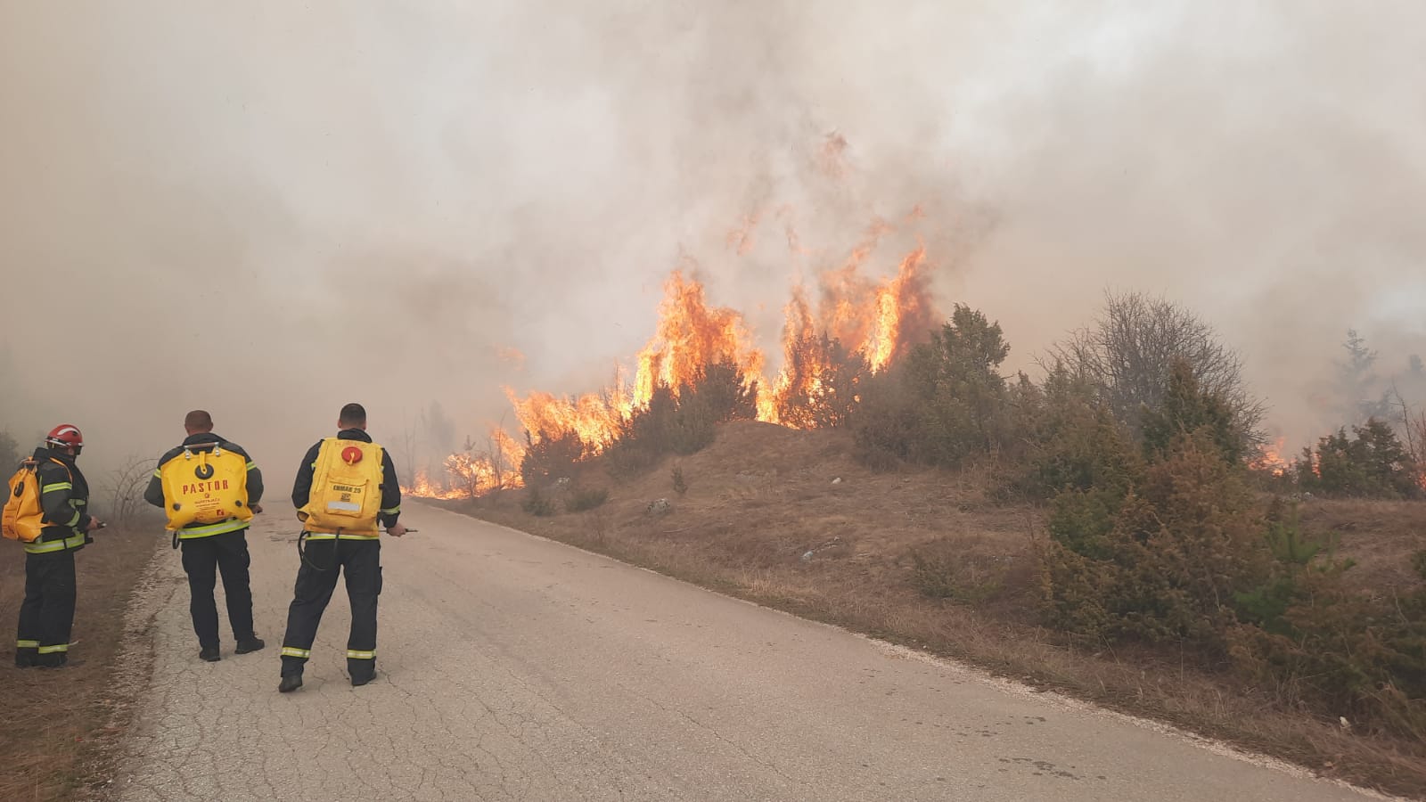 Ogoman šumski požar kod Prijepolja stavljen pod kontrolu/ Foto: RINA