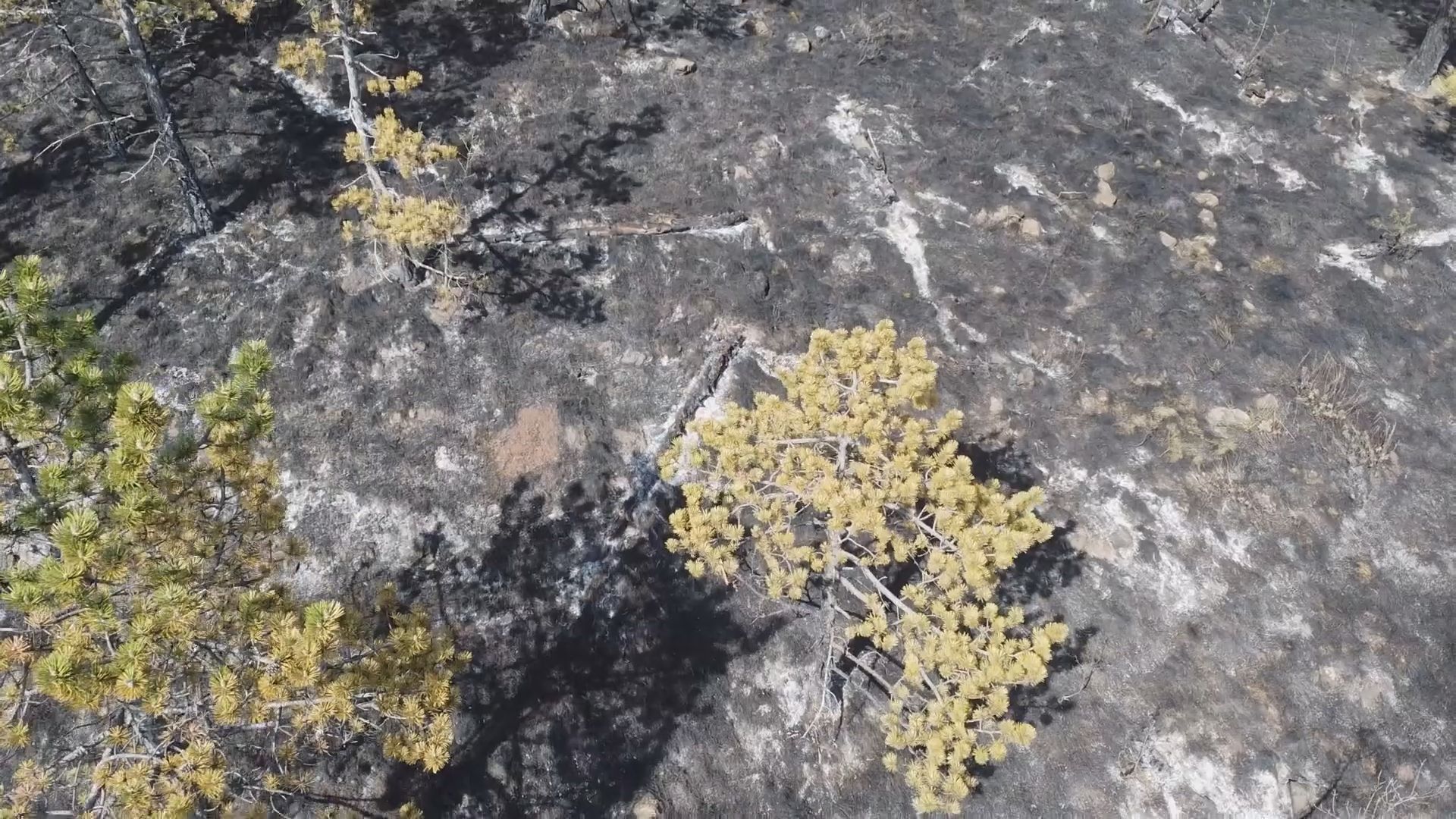 Ona je heroina Suvobora, bez zadrške uletela u plamen: Ružica je dobrovoljni vatrogasac, medju prvima stigla na lice mesta kad je eksplodirala granata (FOTO)