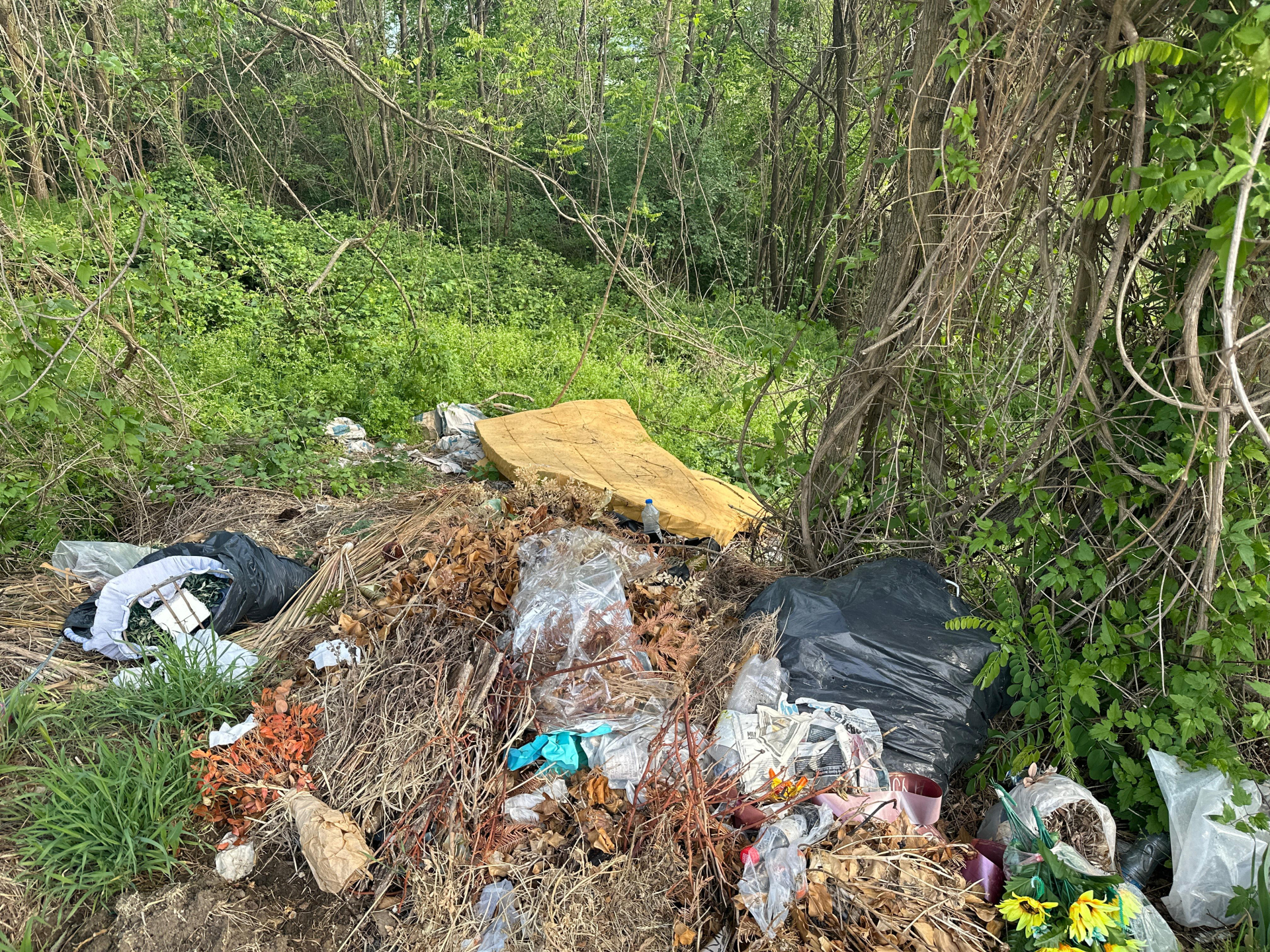 Bacaju leševe uginulih životinja, od smrada ne može da se diše: Bahati pojedinci ne prestaju da prave divlje deponije u čačanskom naselju Ljubić (FOTO)